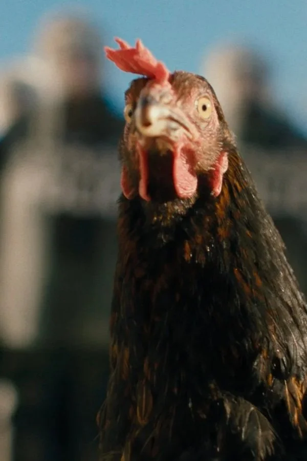 GREEN FILM FESTIVAL: Hen (Opening Night!) ~ 6:00 PM