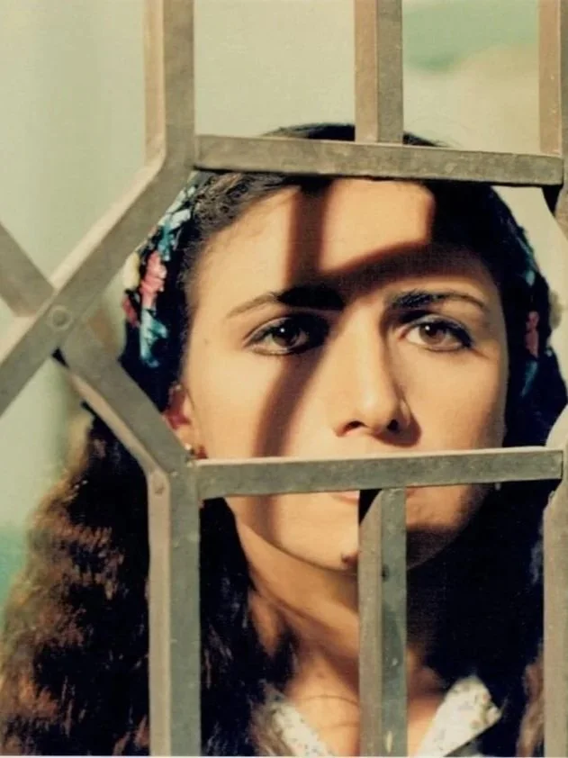 PALESTINE CINEMA DAYS: Return to Haifa (Presented by FILMLAB PALESTINE) ~ 5:30 PM (Free!)