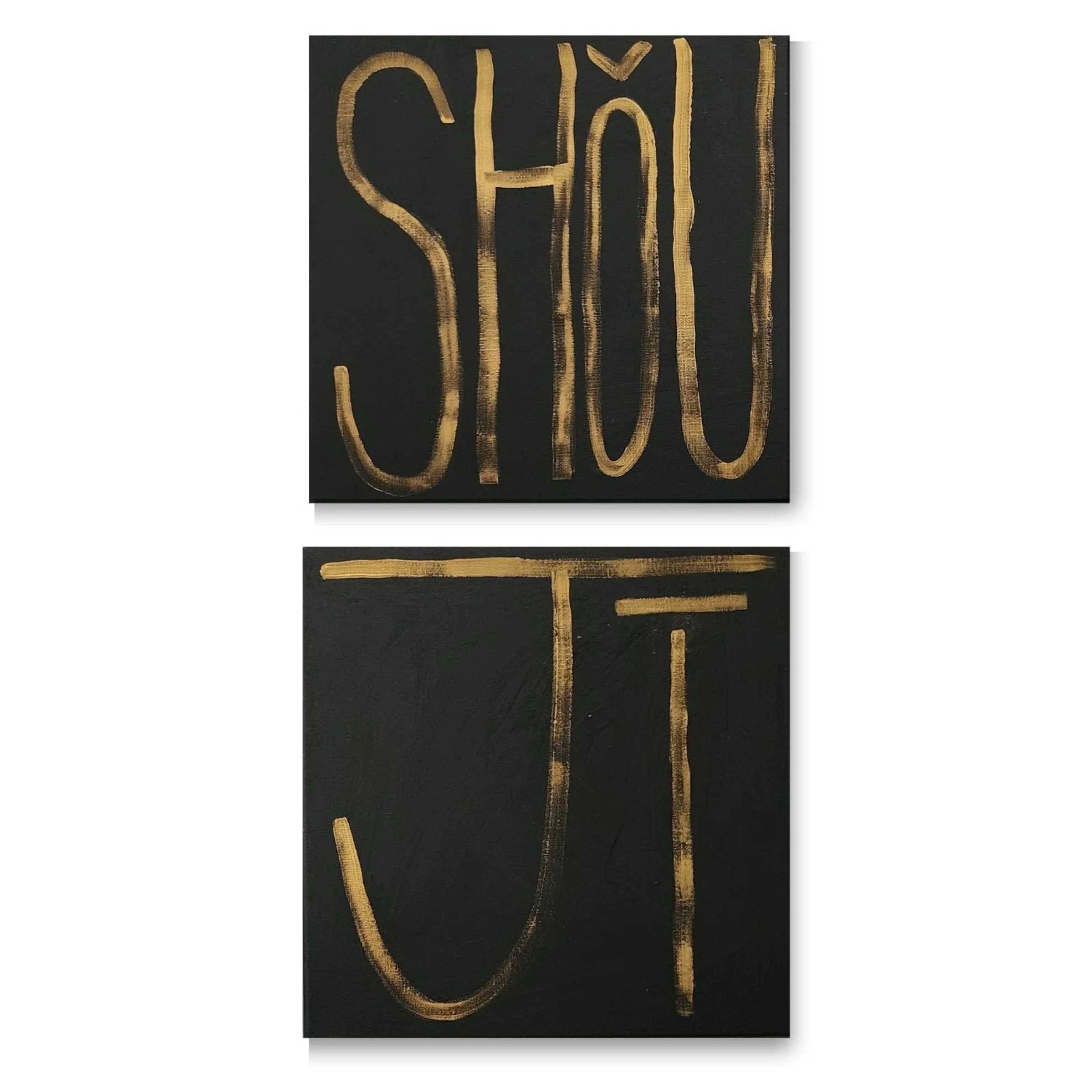 Shou Ji, 2026. Acrylic on canvas, two 12 x 12 in. 