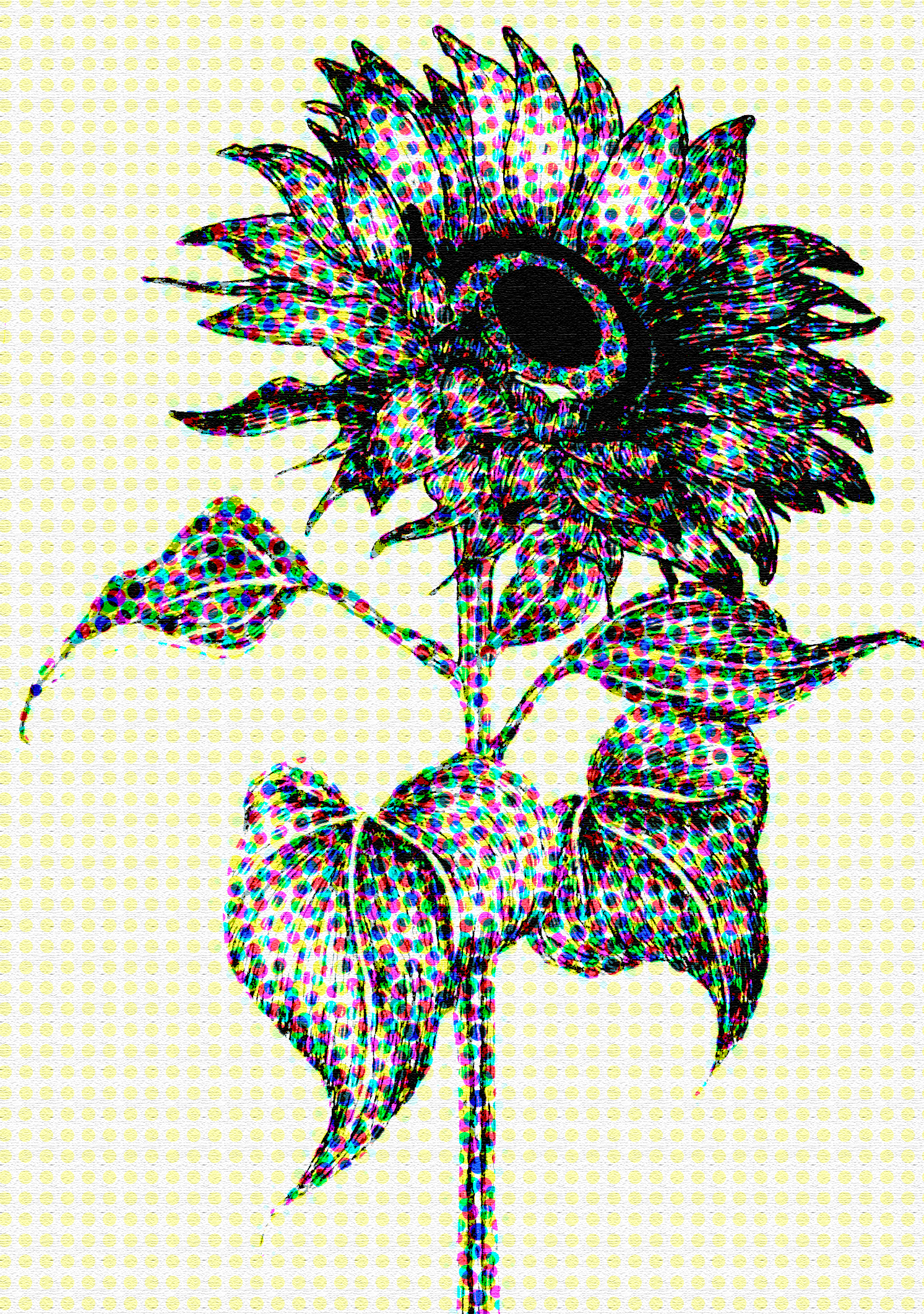 IMG_0815.png