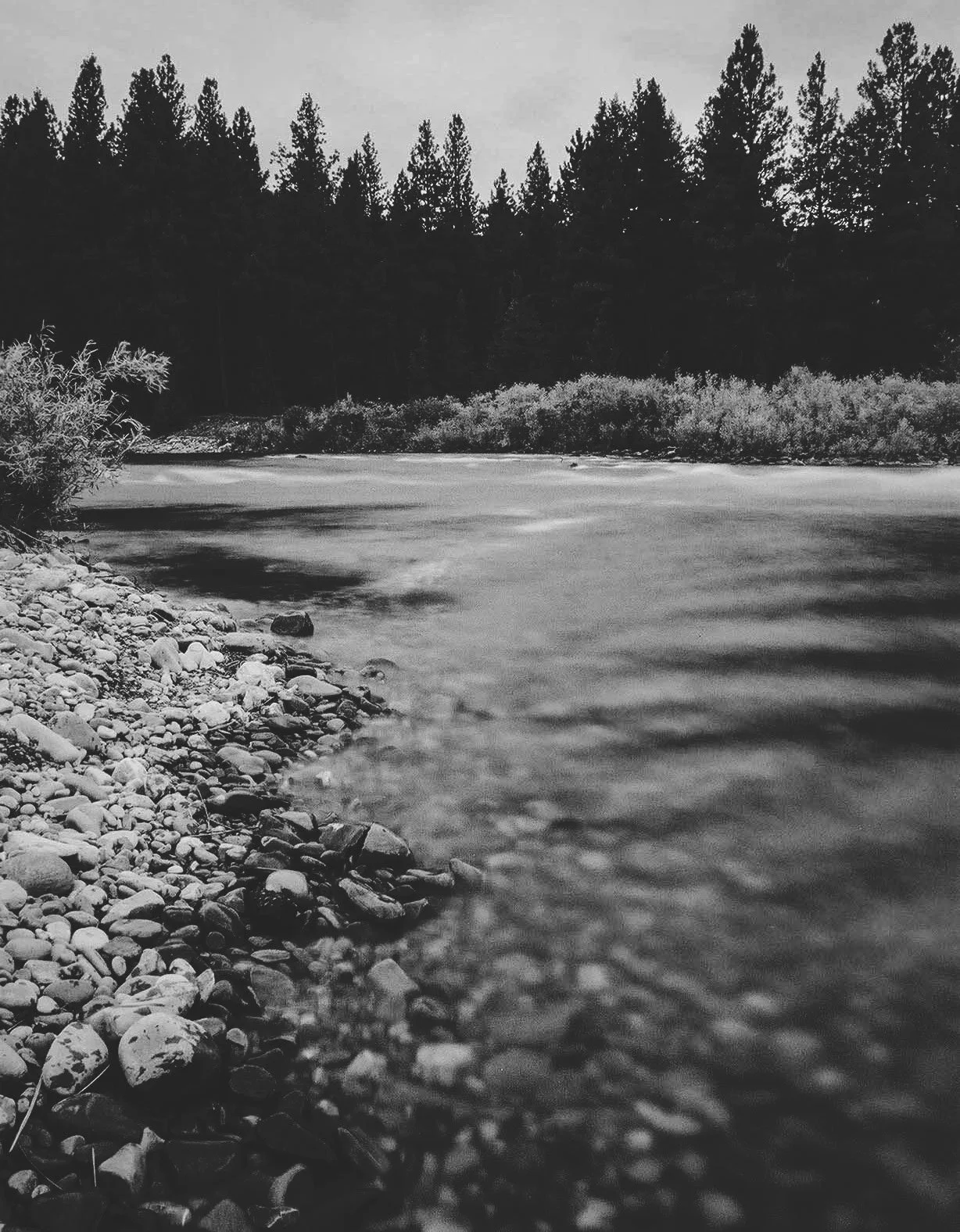 BF_FH000033 copyMK.jpg