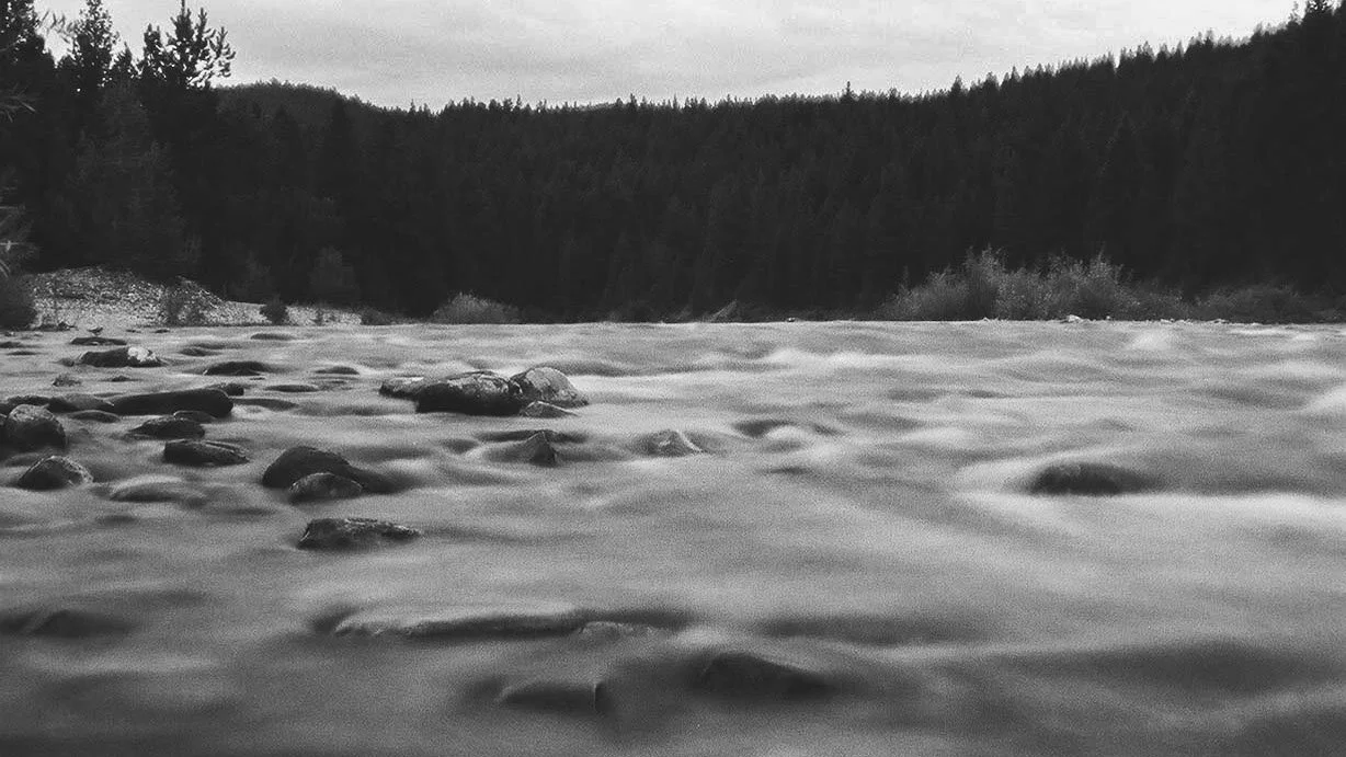 BF_FH000034 copyMK.jpg