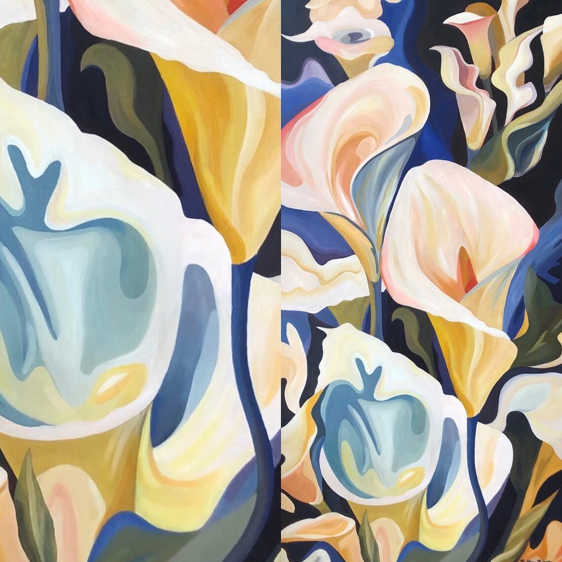 &quot;zantedeschia aethiopica,&quot; oil on canvas, 24&quot; x 48&quot;