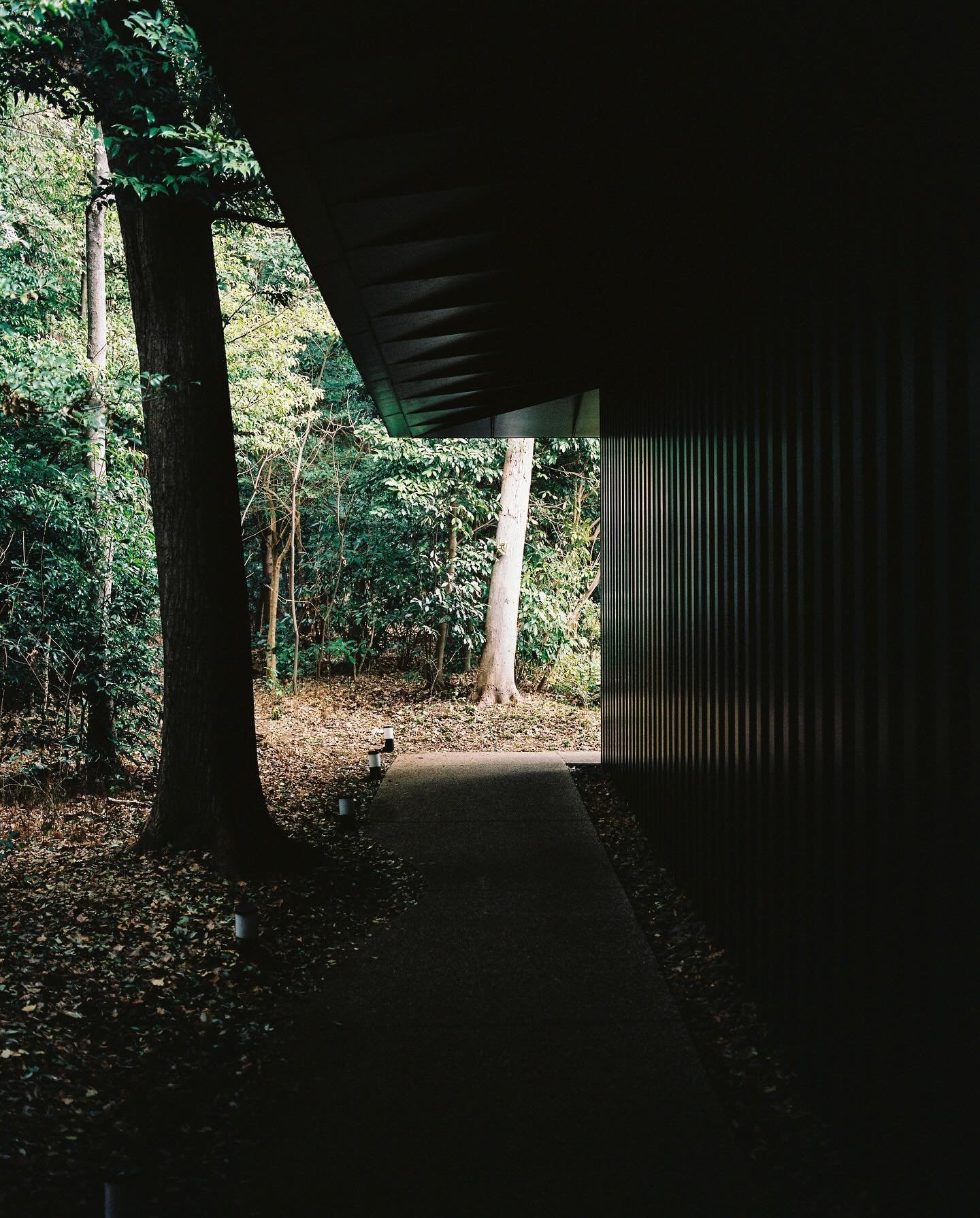 Quiet Kengo Kuma moment in Tokyo on film.
#mamiya7 #mamiya7ii #kengokuma