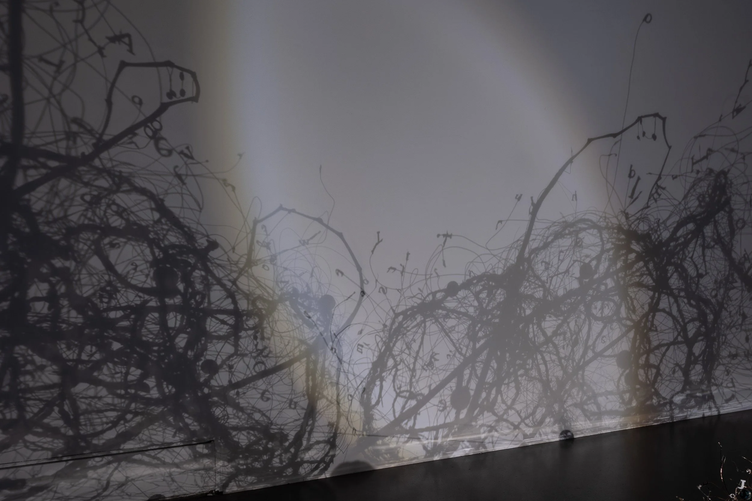 Shadowplay影戲_KeelungMuseum基隆美術館_JocelynShu_10.jpg