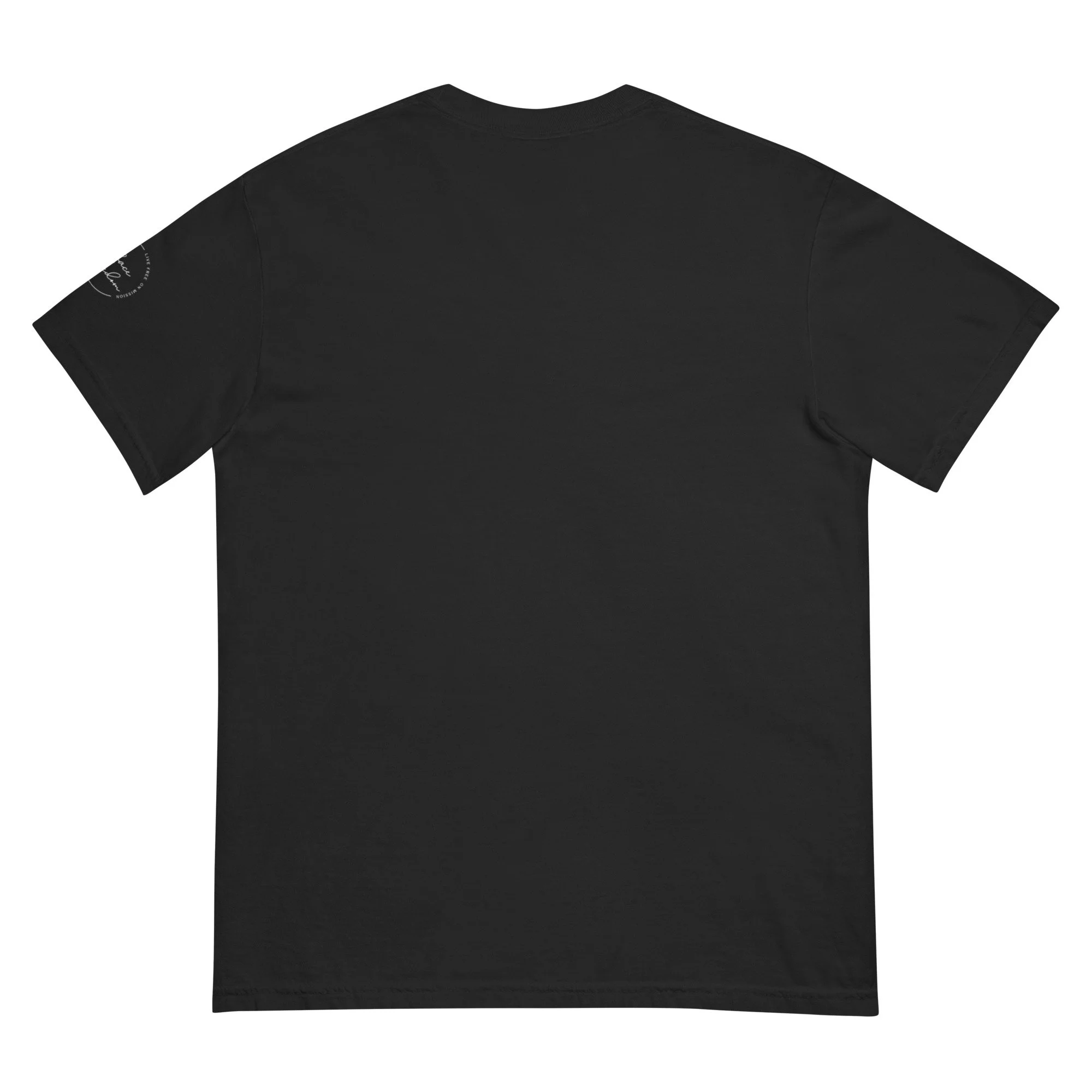 unisex-garment-dyed-heavyweight-t-shirt-black-back-696d04f7482eb.jpg