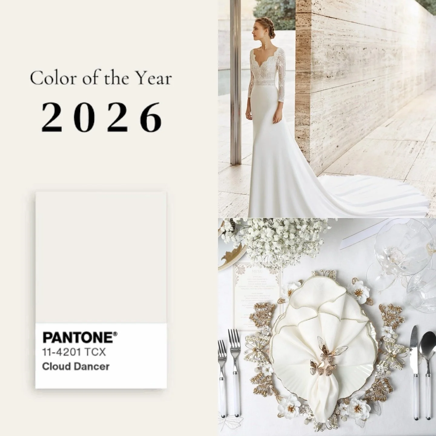 In a world where everything conspires to distract us &mdash; endless scrolls, information overload&hellip;Cloud Dancer invites us to pause, reset, and return to calm.

Let&rsquo;s welcome 2026 with quiet confidence 🤍

#CloudDancer #Pantone2026 #Fres