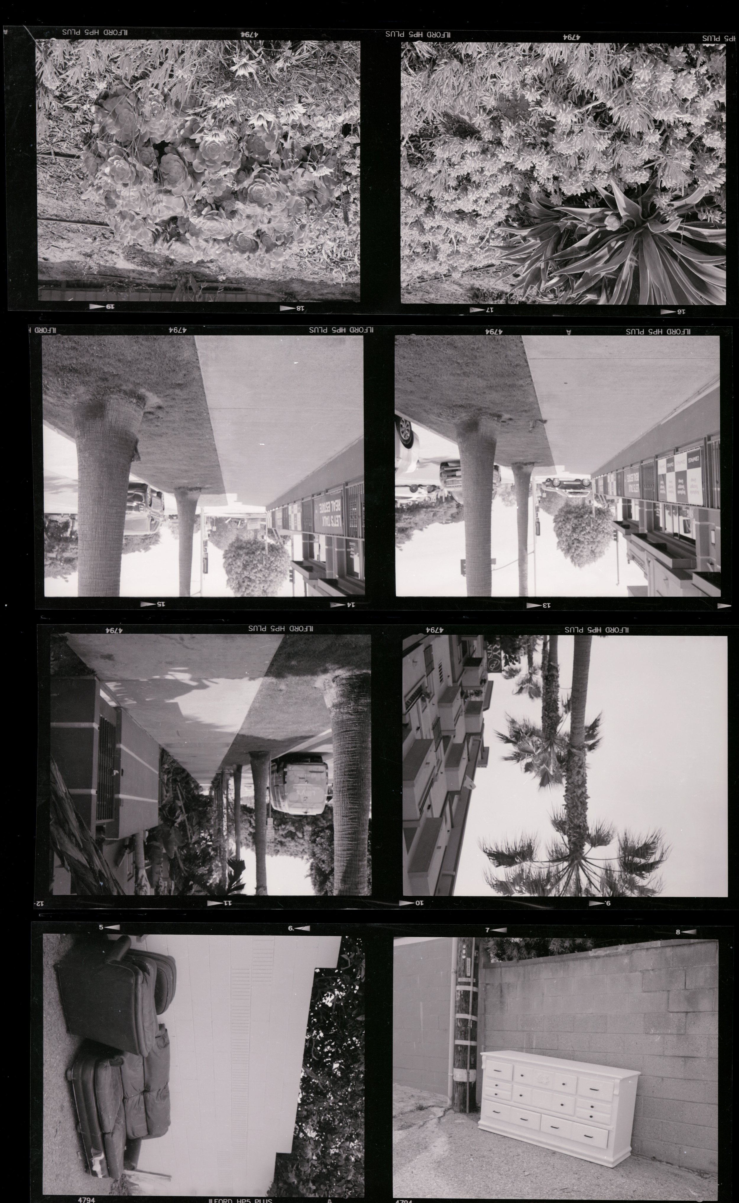 Sami Proof 1.JPG