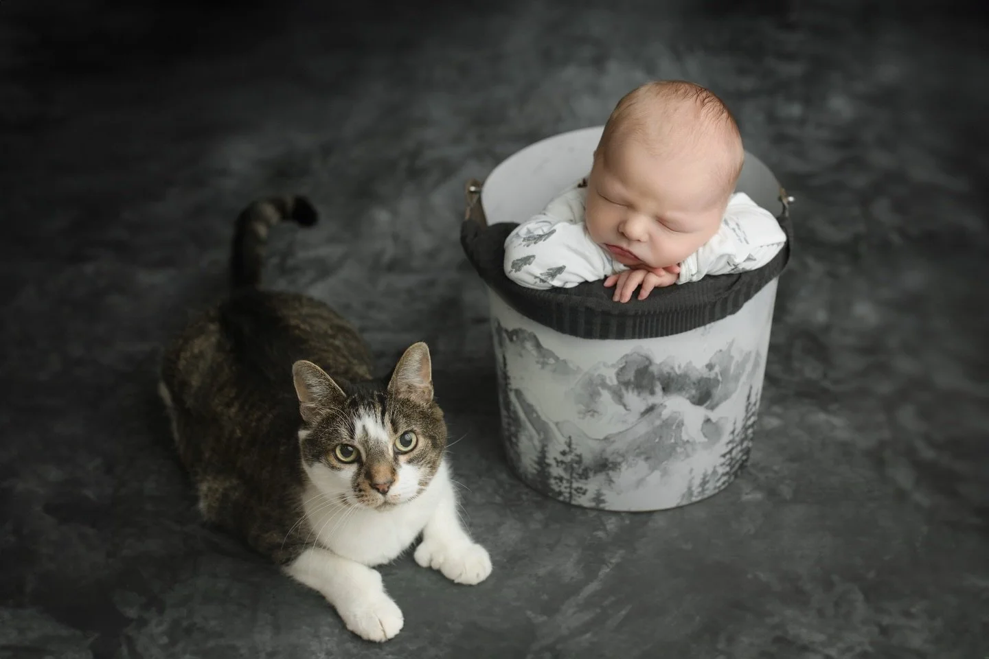 During this in-home newborn session, we had a photo session crasher 🤣

What I love is that this will always be a story and a memory that the newborn and his parents will be able to look back at. Really makes them unique photos and I mean, the cat is