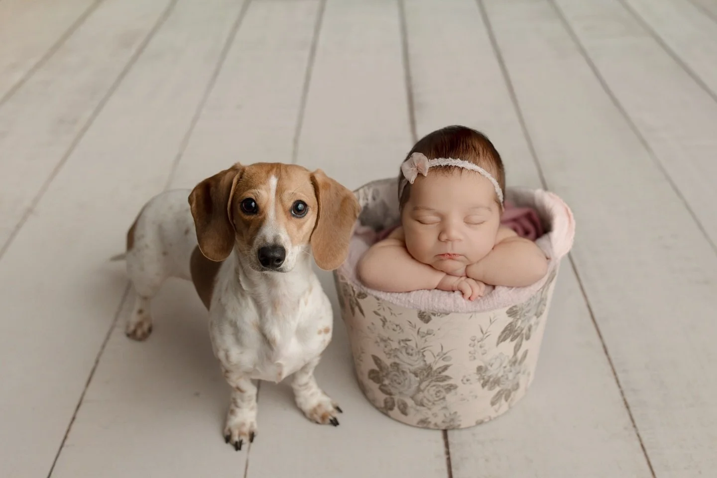 Forget diamonds - this girl&rsquo;s best friend has paws 🐾

It was absolutely precious getting to take these photos of this perfect little one and her loyal companion! This will be such a great photo to look back on with her first childhood pet and 