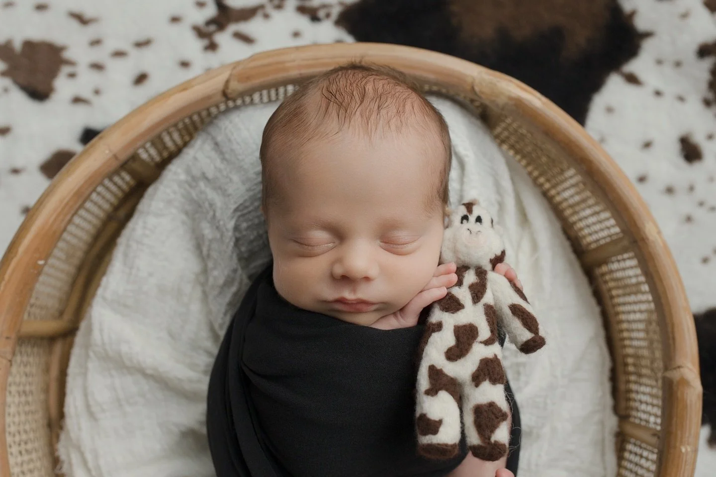 Let&rsquo;s take a moo-ment to celebrate that it&rsquo;s Friday! 🐮

What are your plans for this upcoming weekend? Are you going to an event, farmers market, to the park, or just relaxing - let us know in the comments below 🤗

&zwnj;

#NewbornPhoto