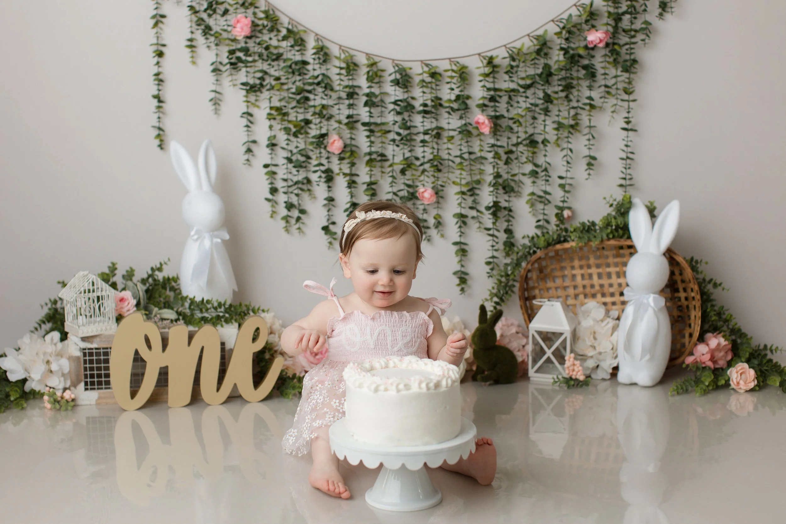 Middletown, Virginia Birthday  and Cake Smash Photographer