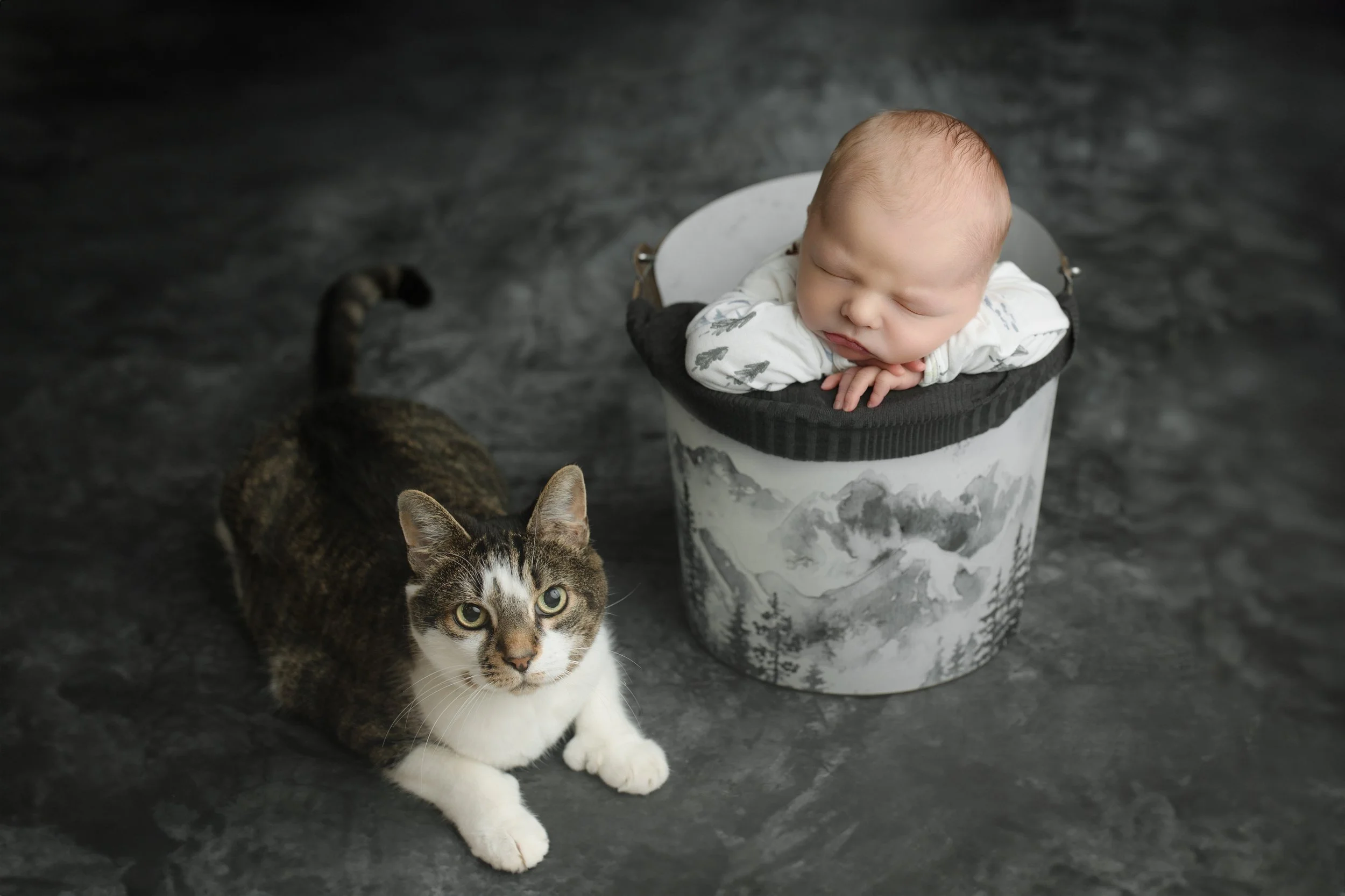 Newborn Photography with cat