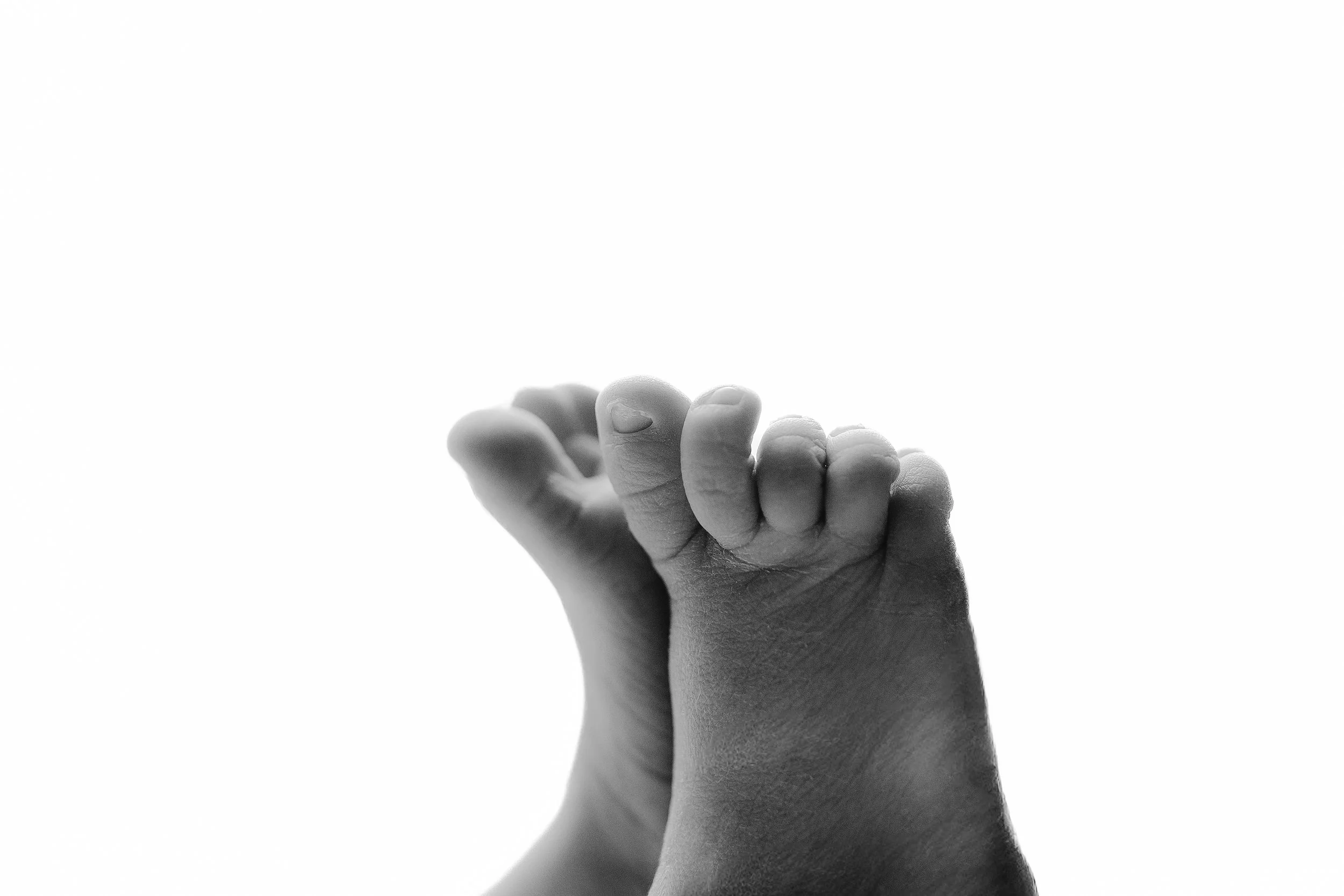 Newborn details photos, Winchester VA Photographer