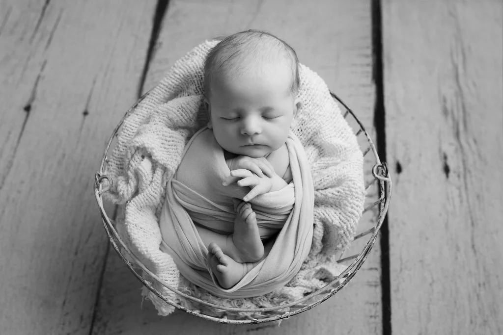 Newborn Photographer Winchester VA
