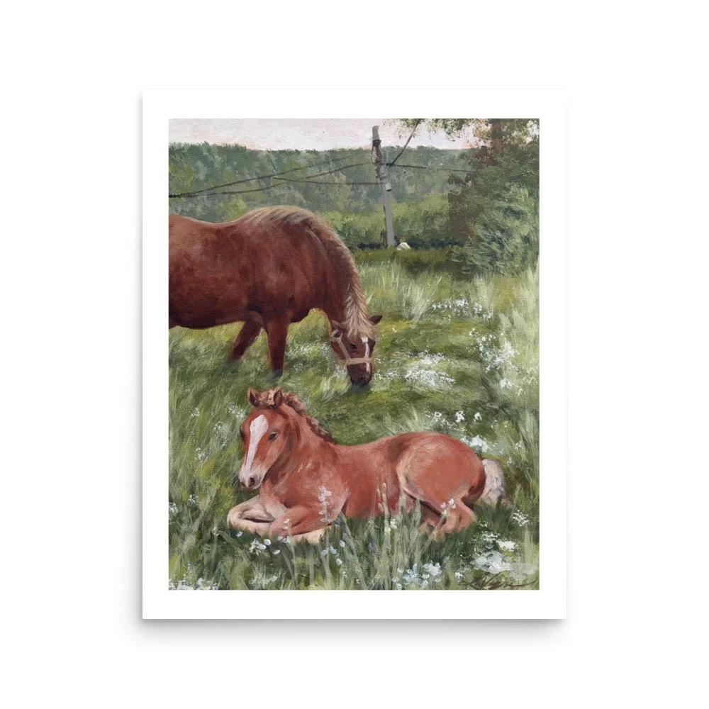 enhanced-matte-paper-poster-(in)-16x20-front-6ababb50044ed.jpg