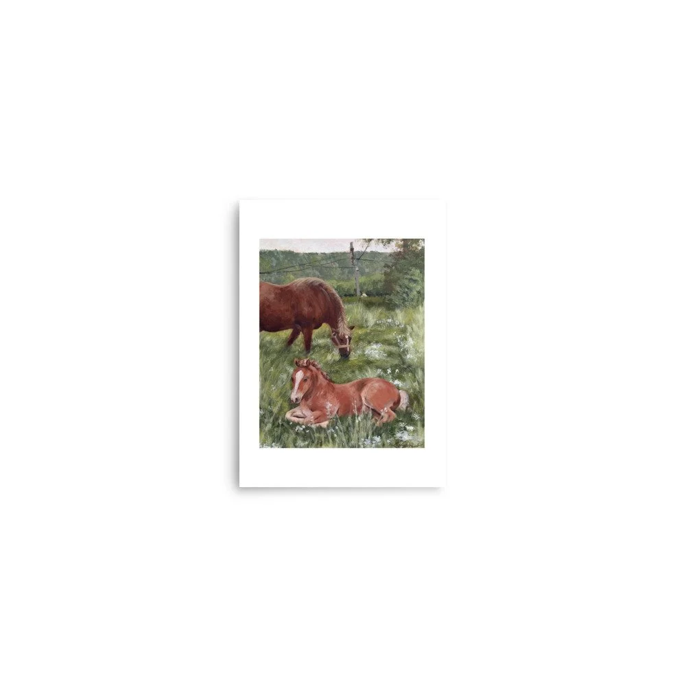 enhanced-matte-paper-poster-(in)-5x7-front-6ababb5005b82.jpg