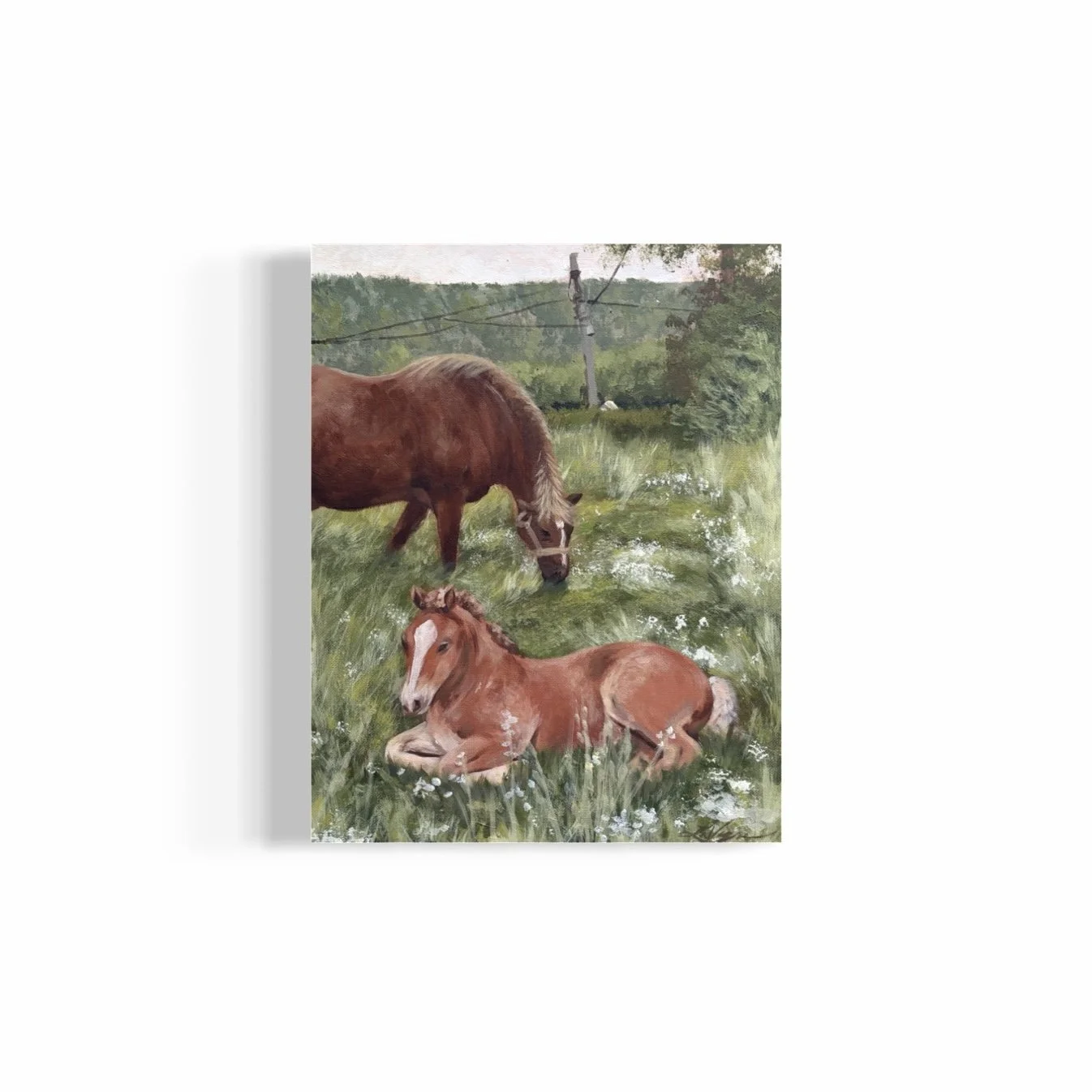 Grazing