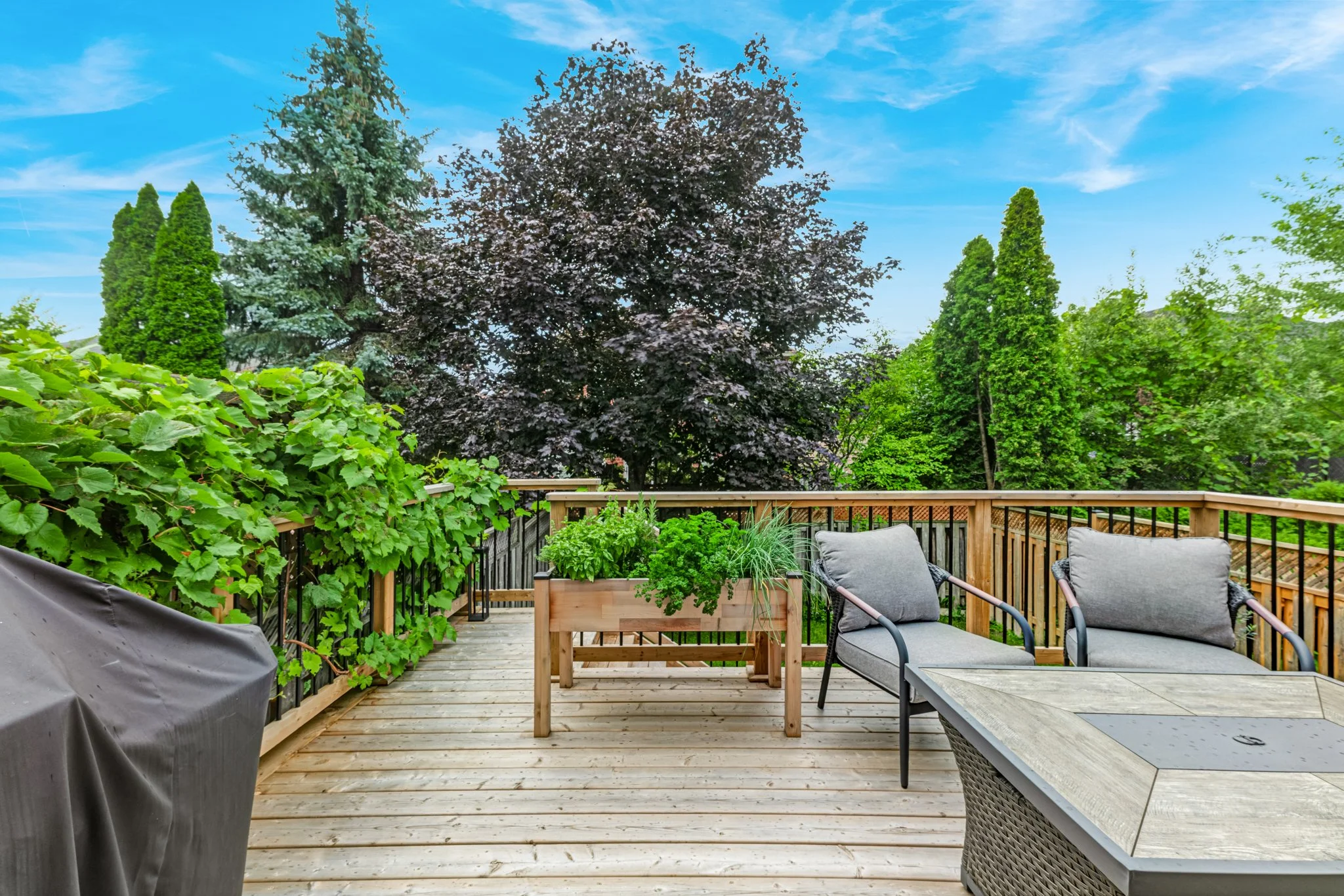 478-Heddle-Crescent-Newmarket-Web-MLS-41.jpg
