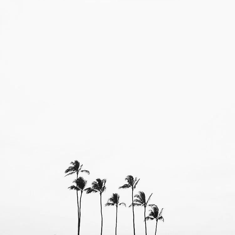 locations — Seven Brothers Burgers