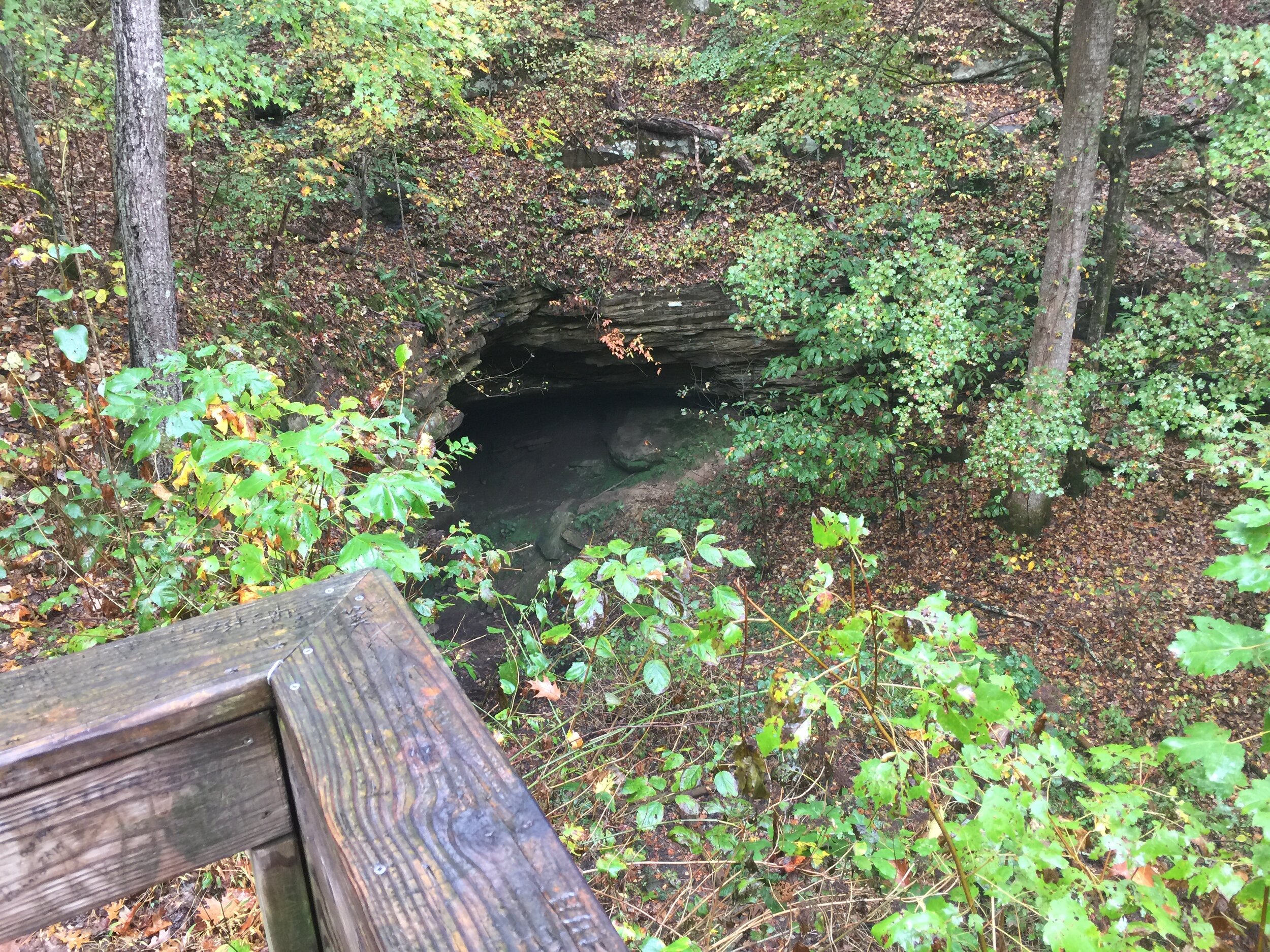Looking Down at the Rock Shelter That Would Become The Cave