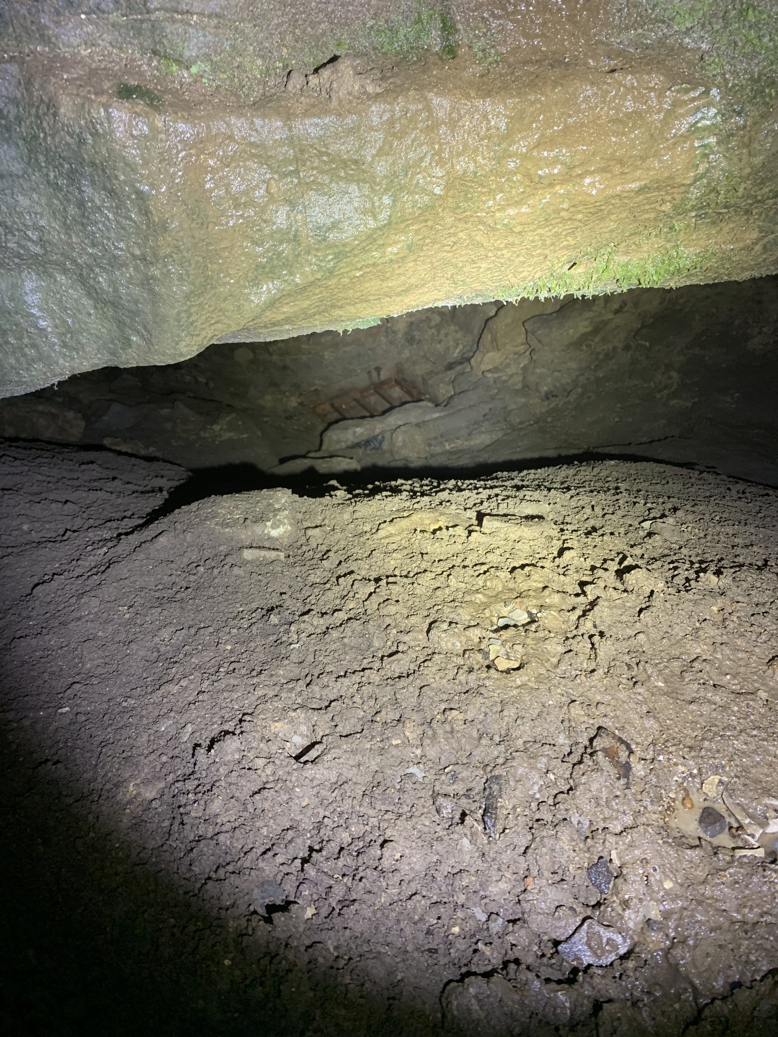 Looking Towards the Entrance to the Cave