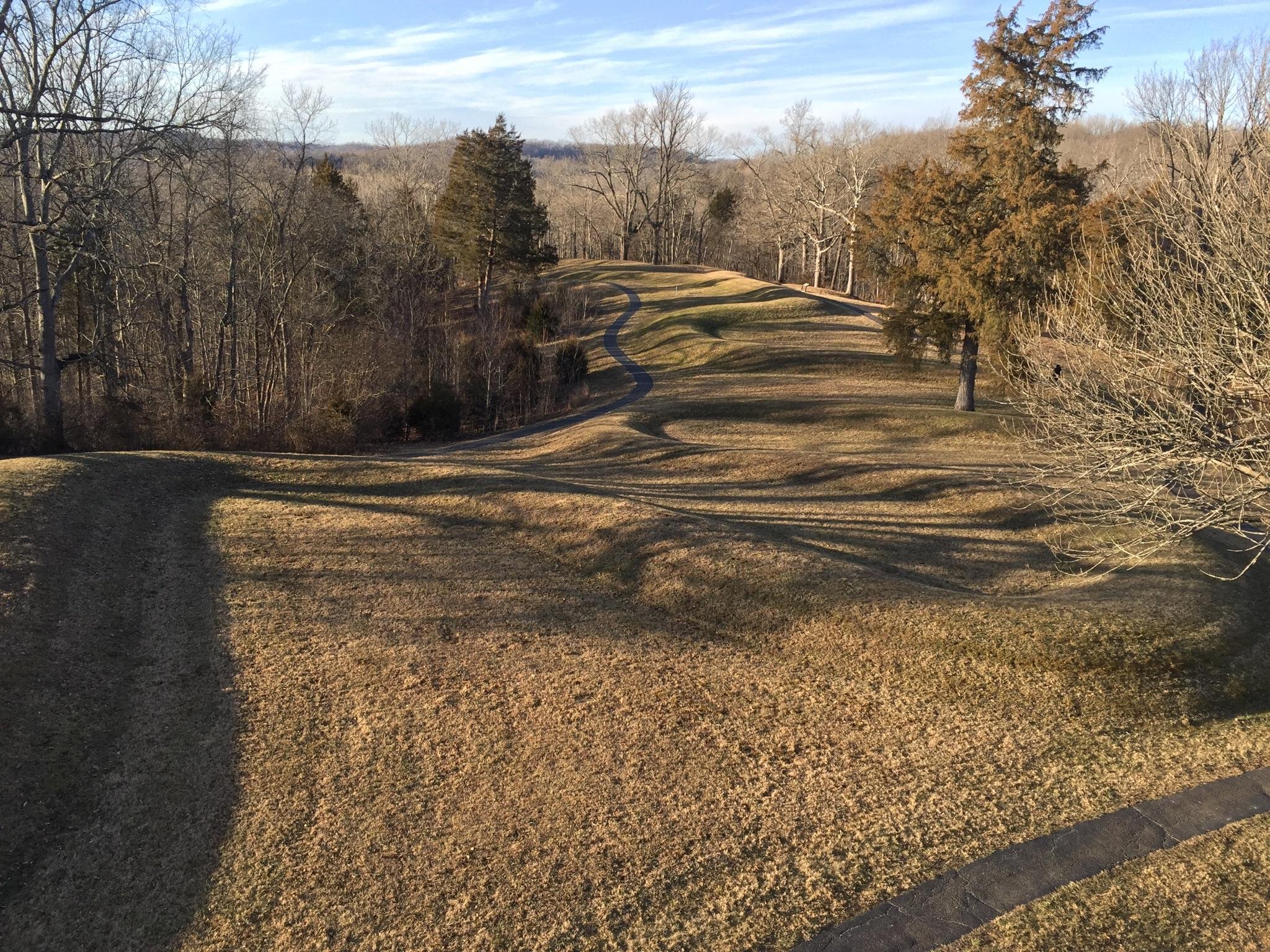 Tower Length View