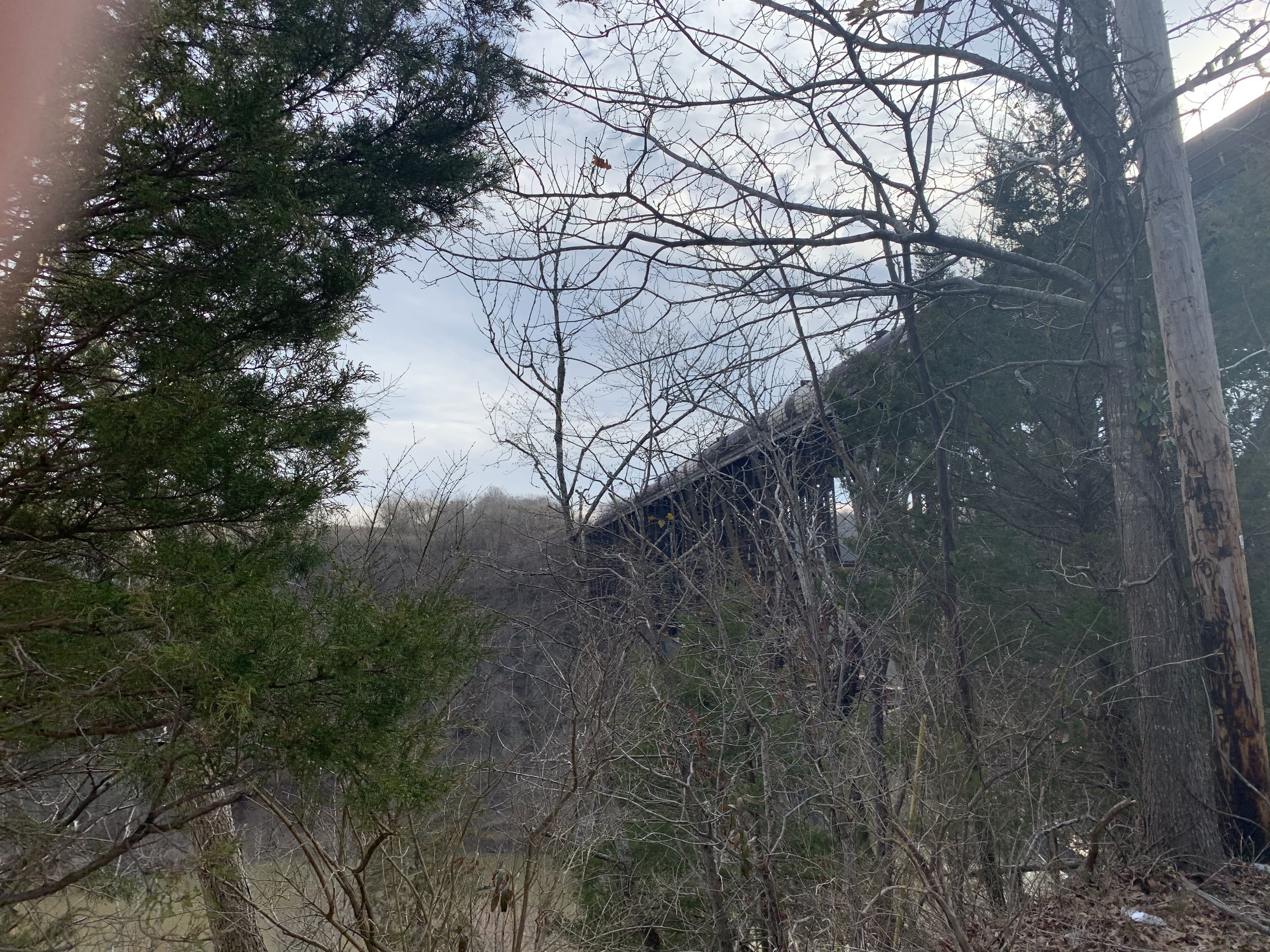 Another Park View of the Bridge