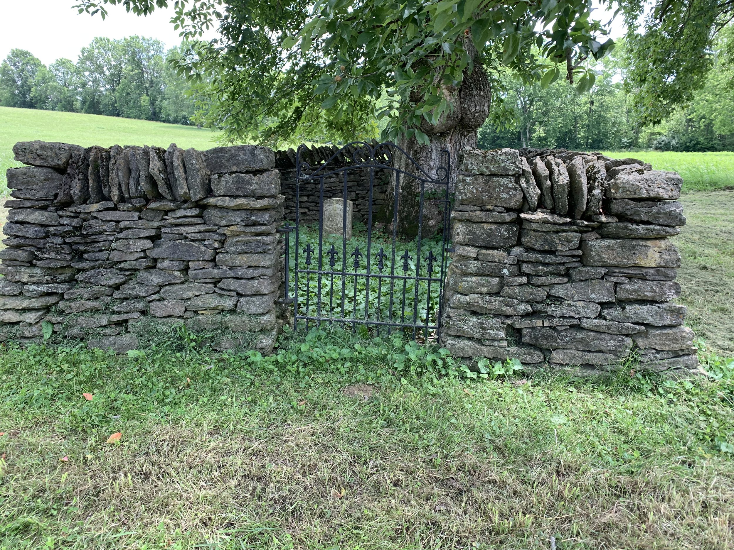 Looking at the Grave from Outside the Fence