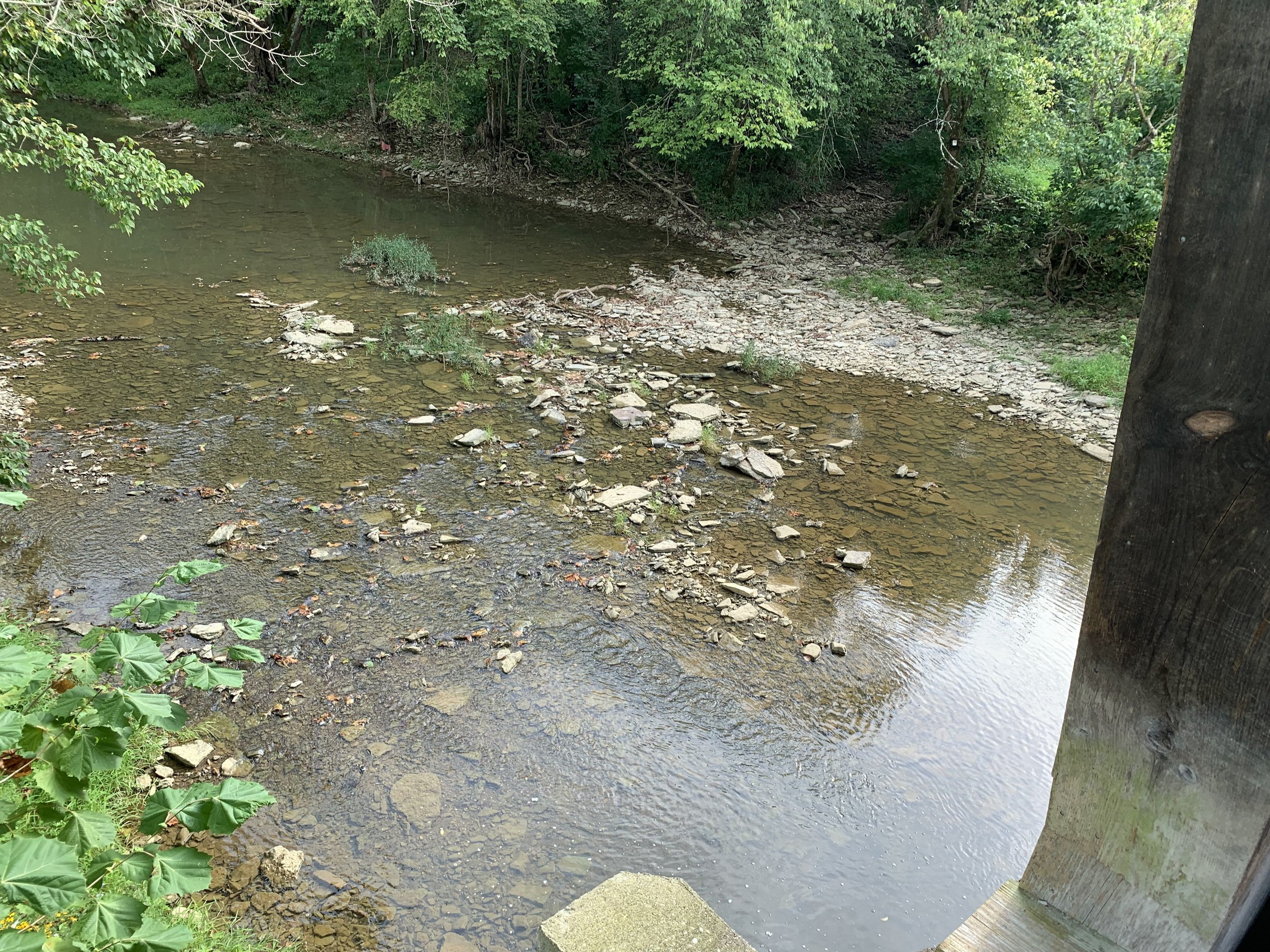 Looking Down at the Creek Below