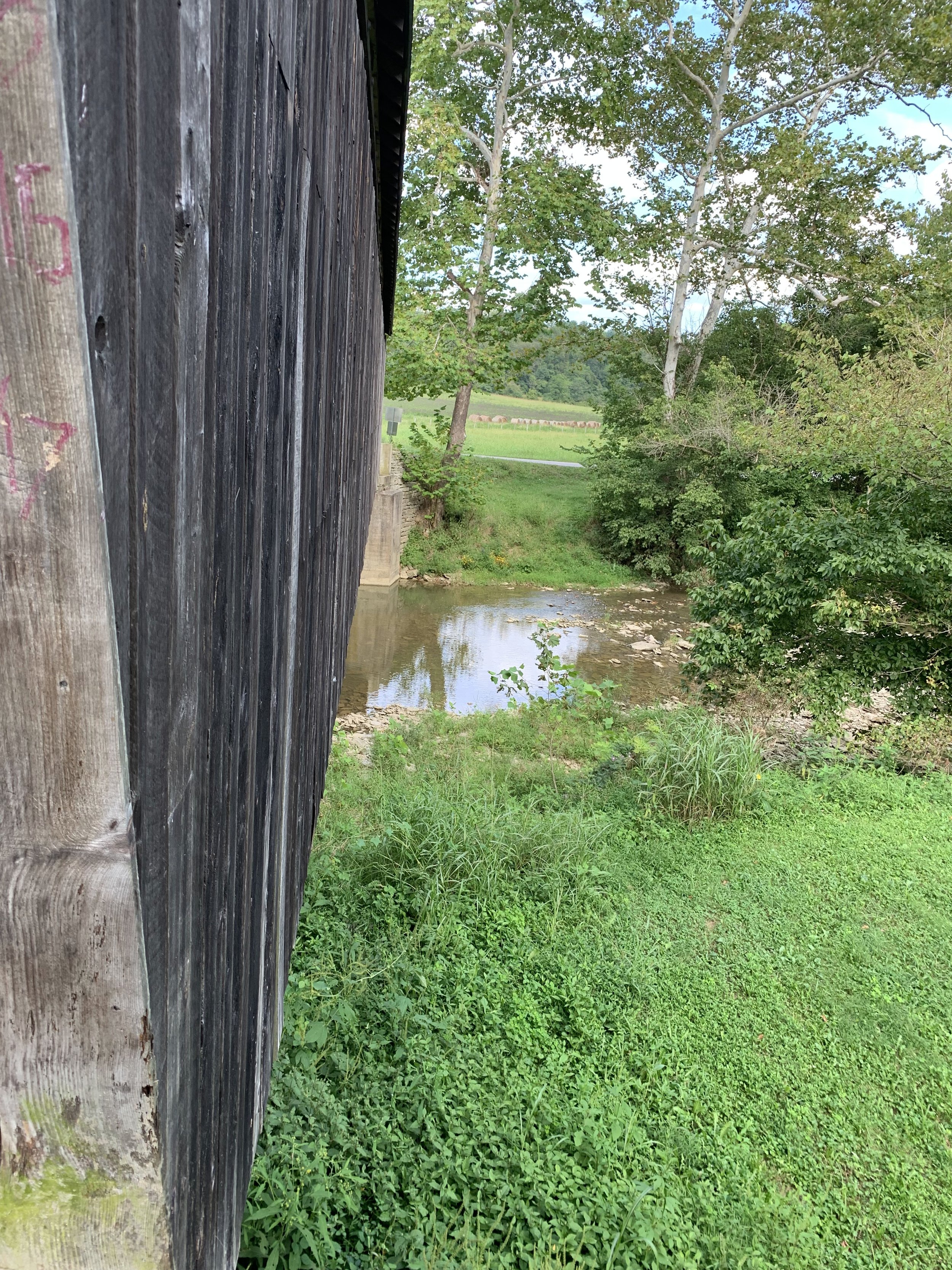 Looking Down the Length of the Bridge