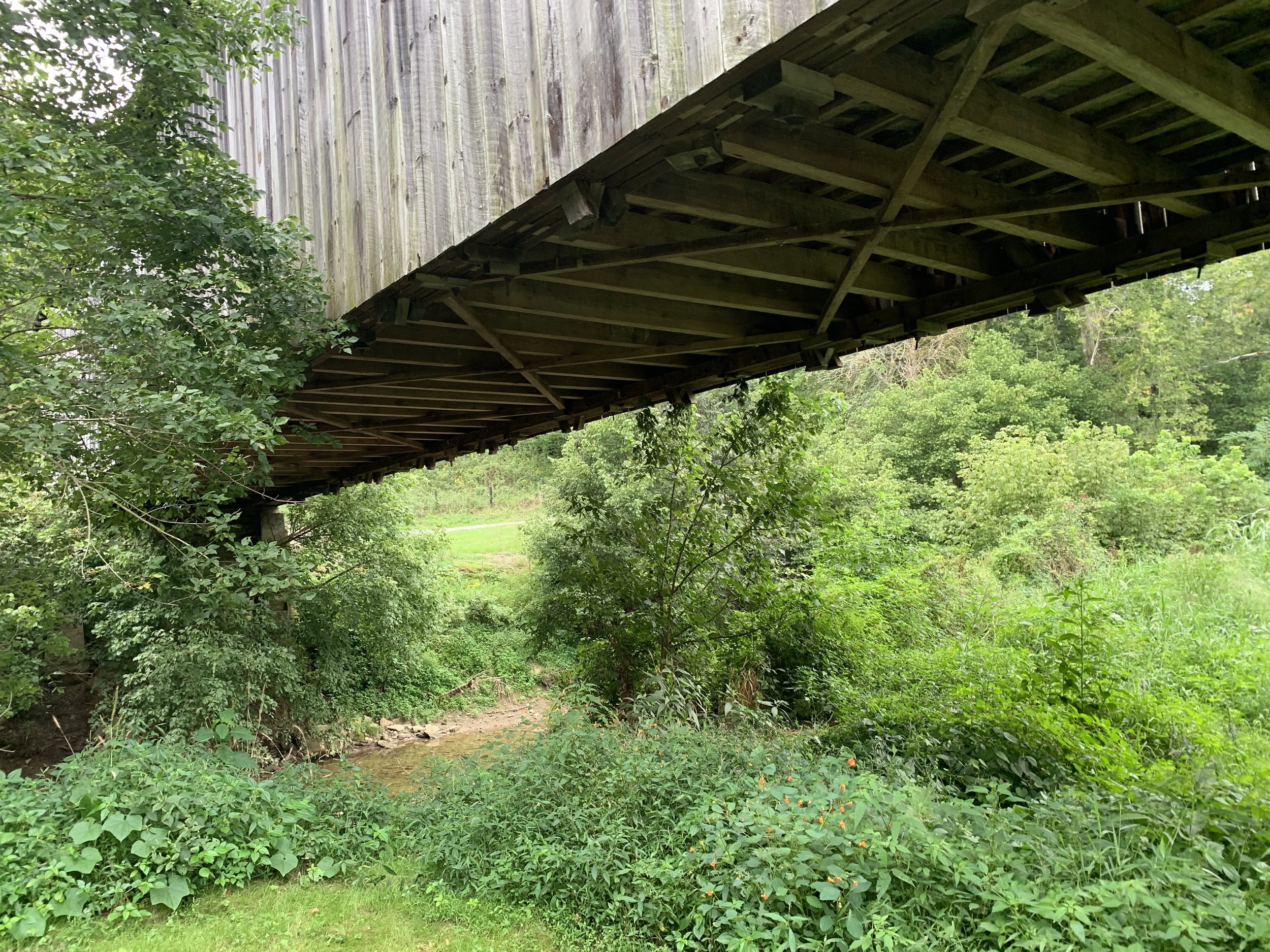 Looking Under the Bridge