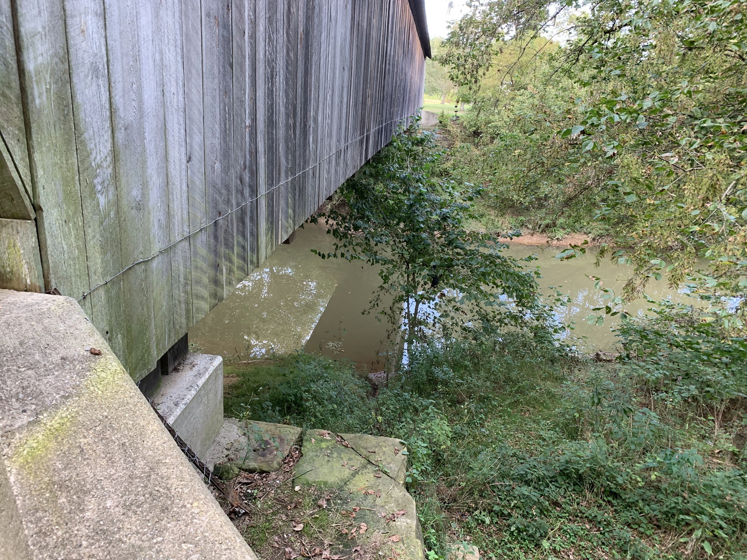 Looking Down the Length of the Bridge