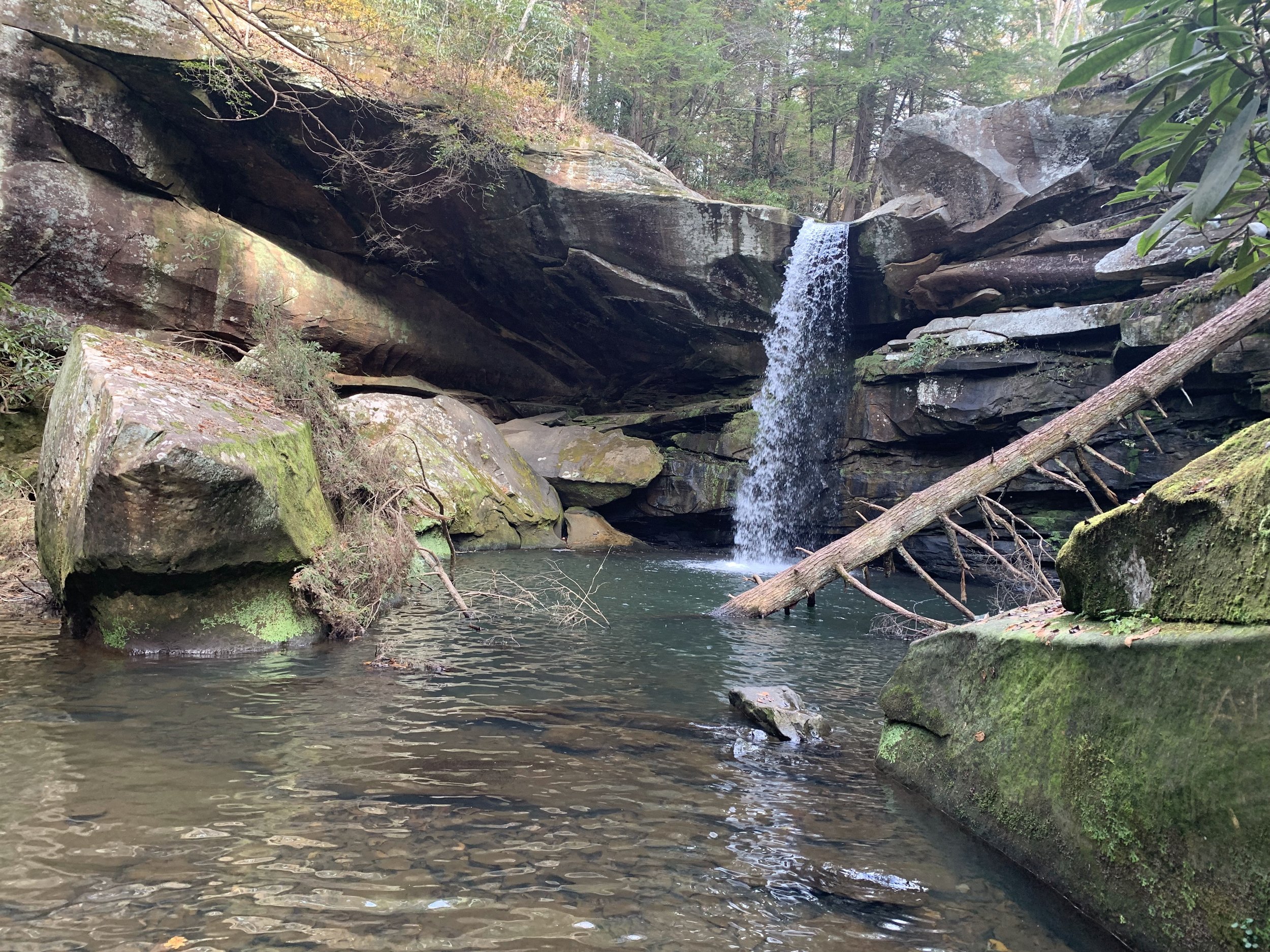 The Falls from its Base