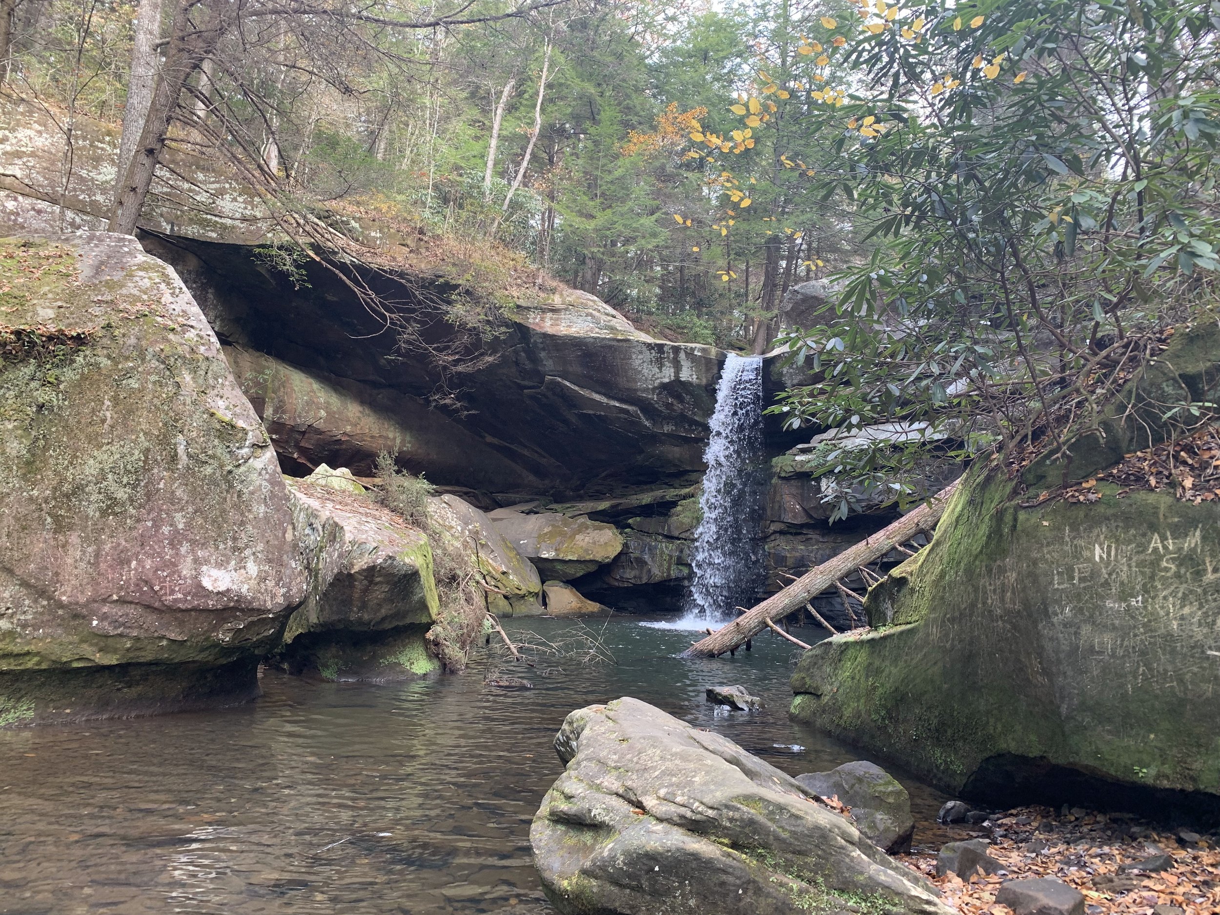 The Falls from its Base