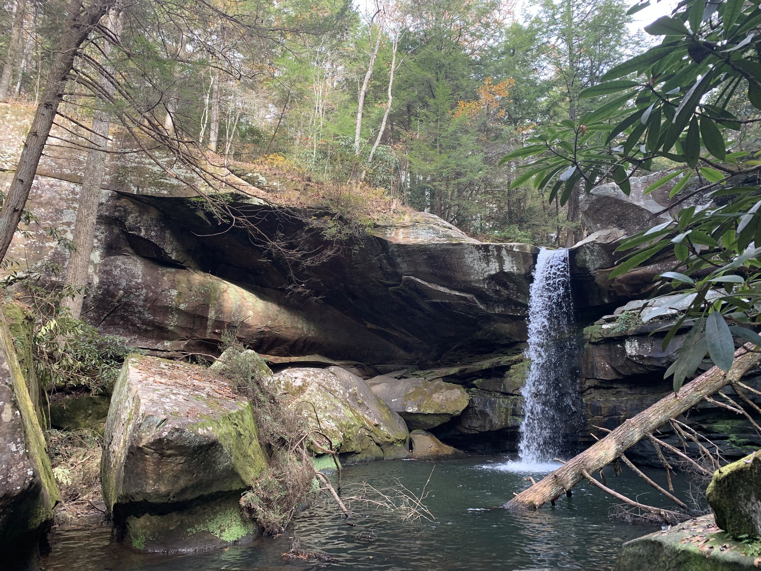 The Falls from its Base