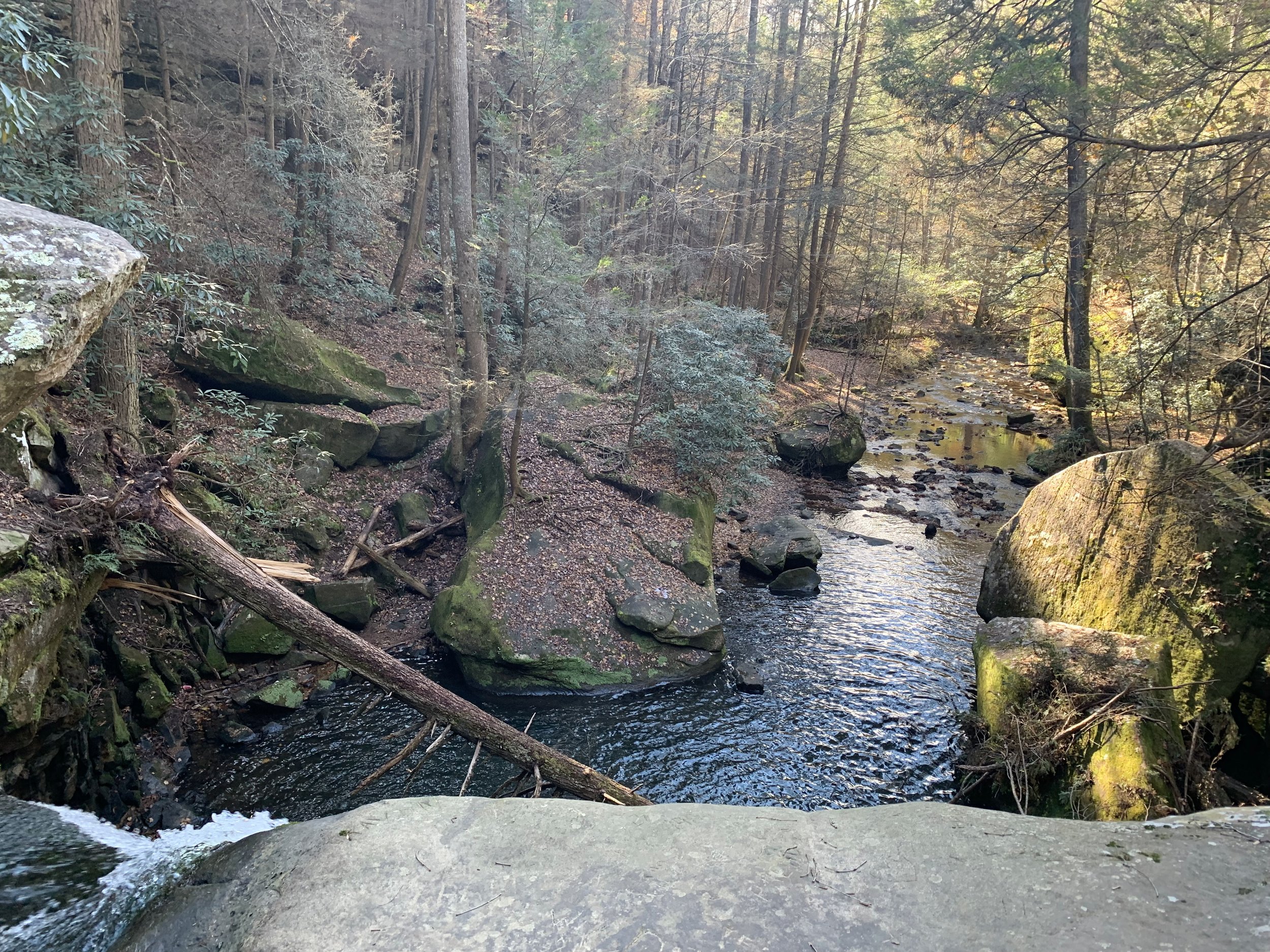 Standing Creekside, at the Edge of the Falls