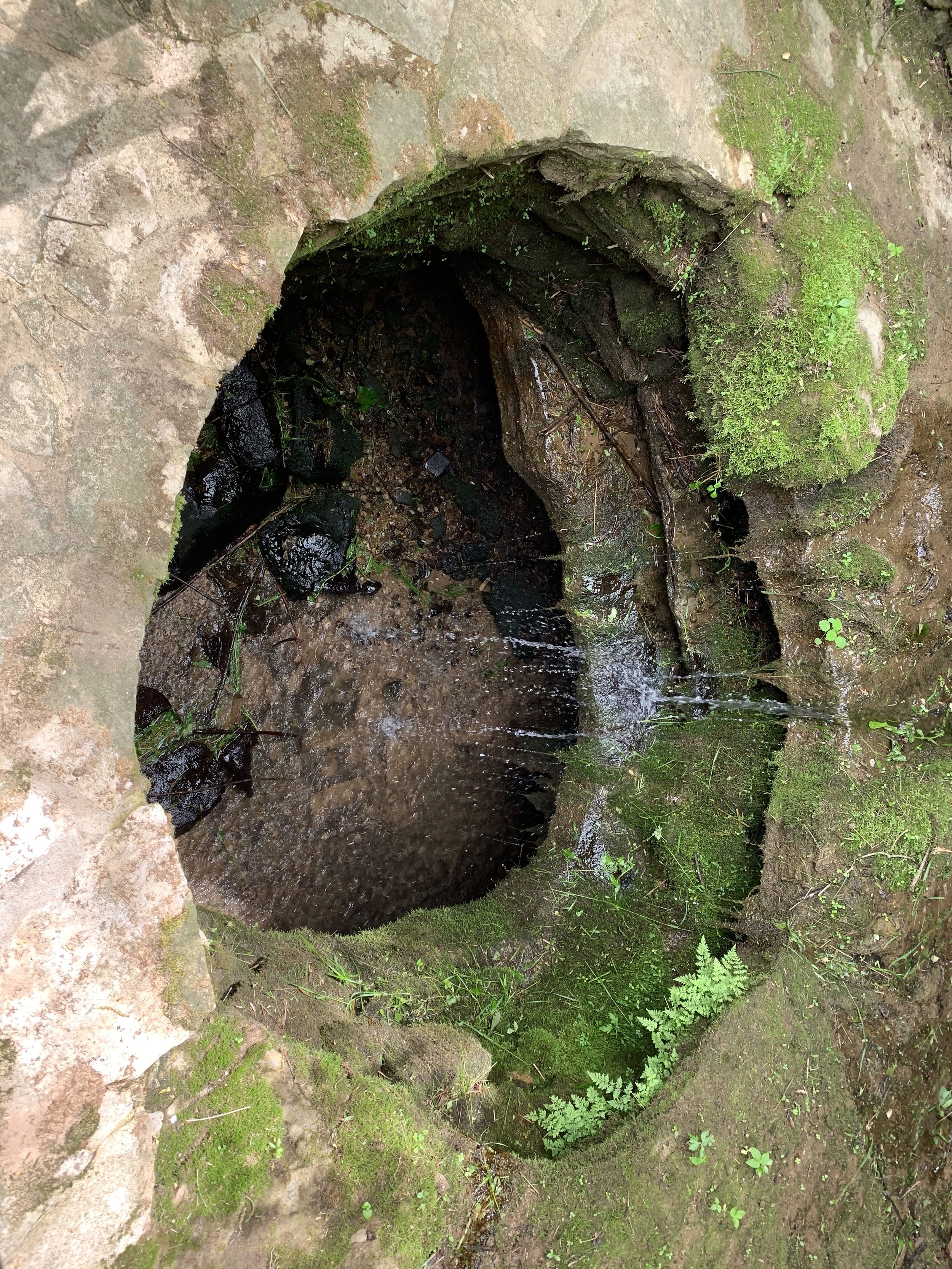 Looking Down Into the Sinkhole
