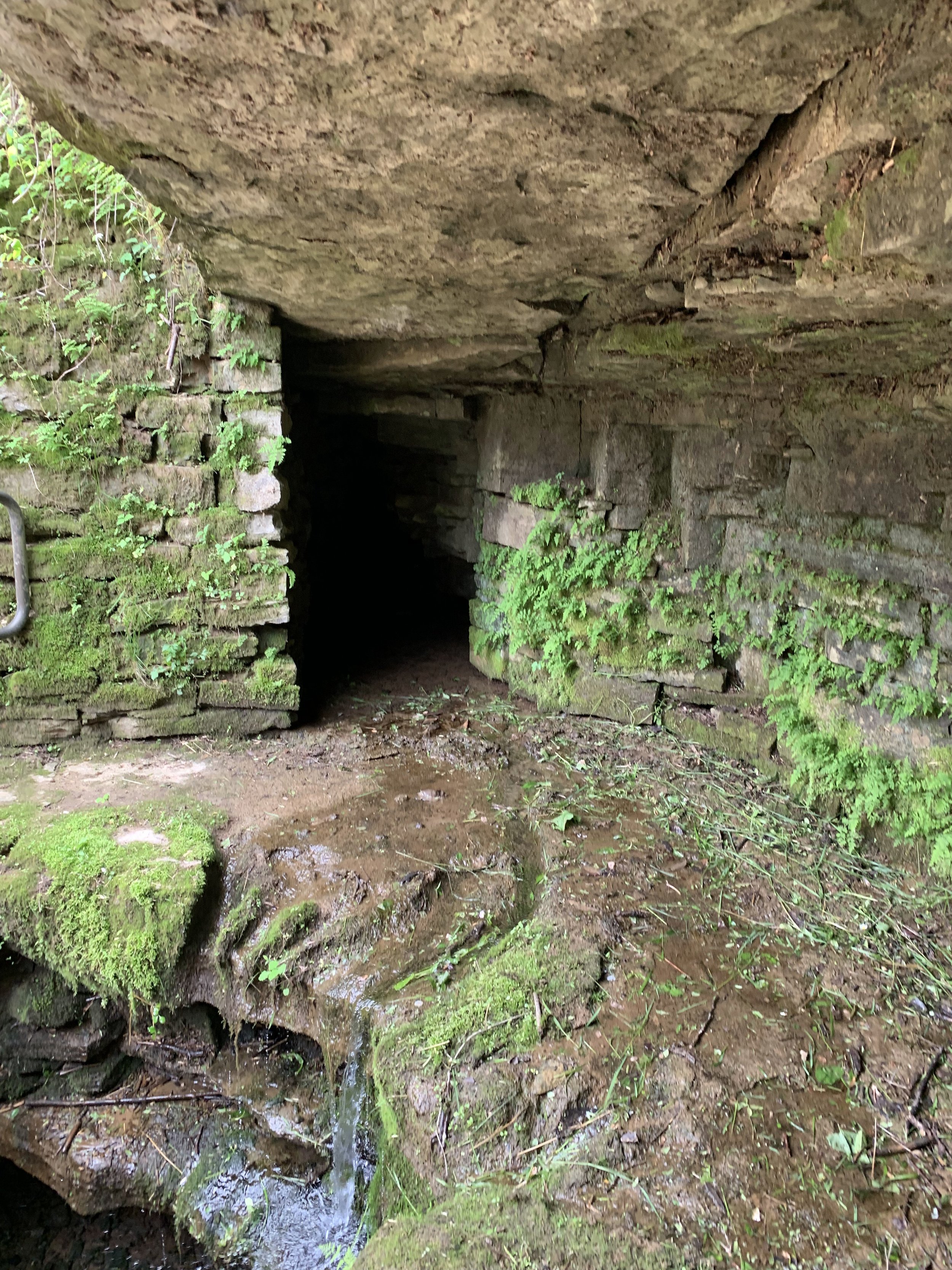 Where the Spring Emerges from the Hillside