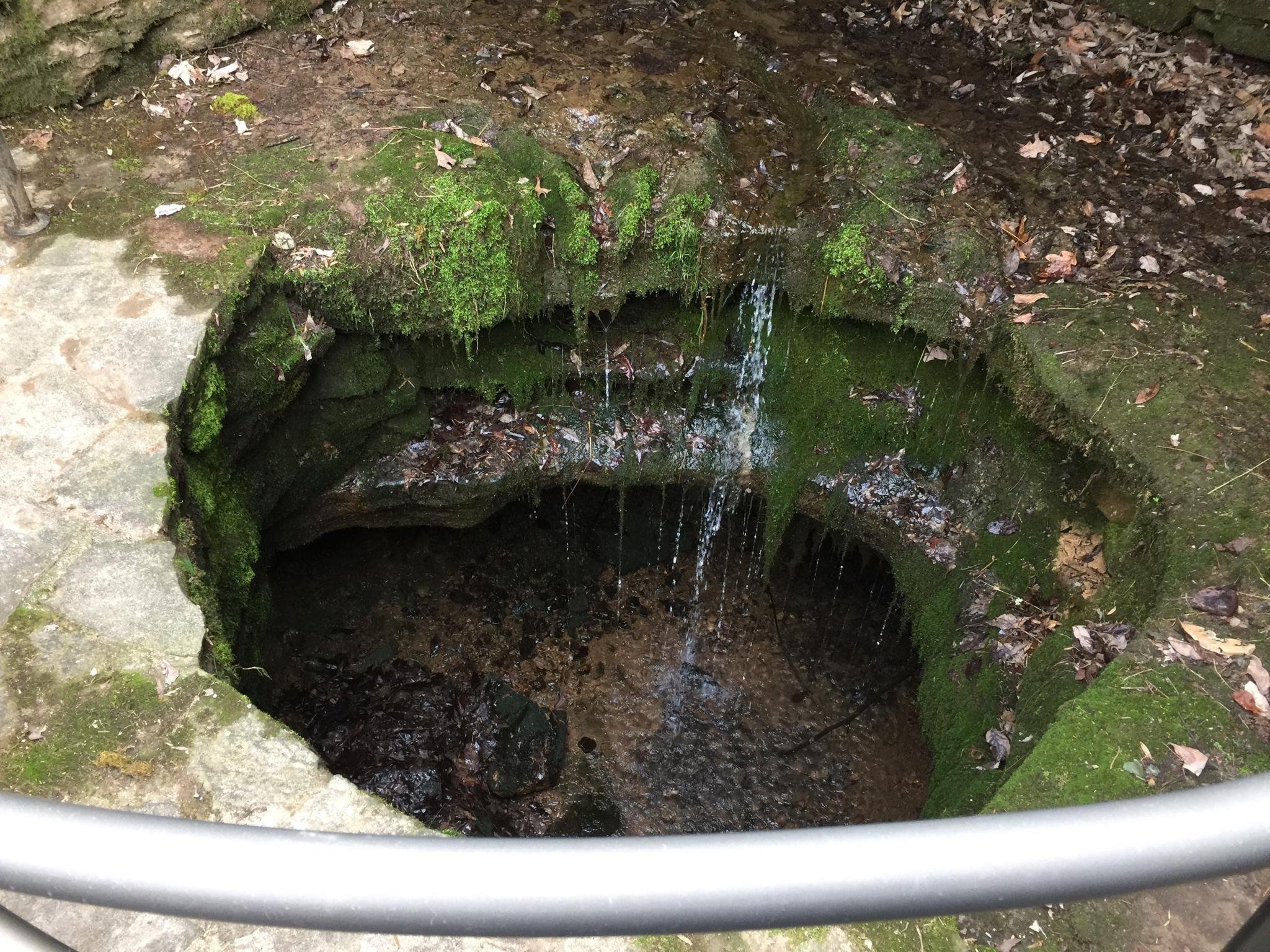 Looking Down Into the Sinkhole