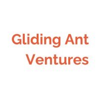 gliding_ant_ventures_logo.jpeg