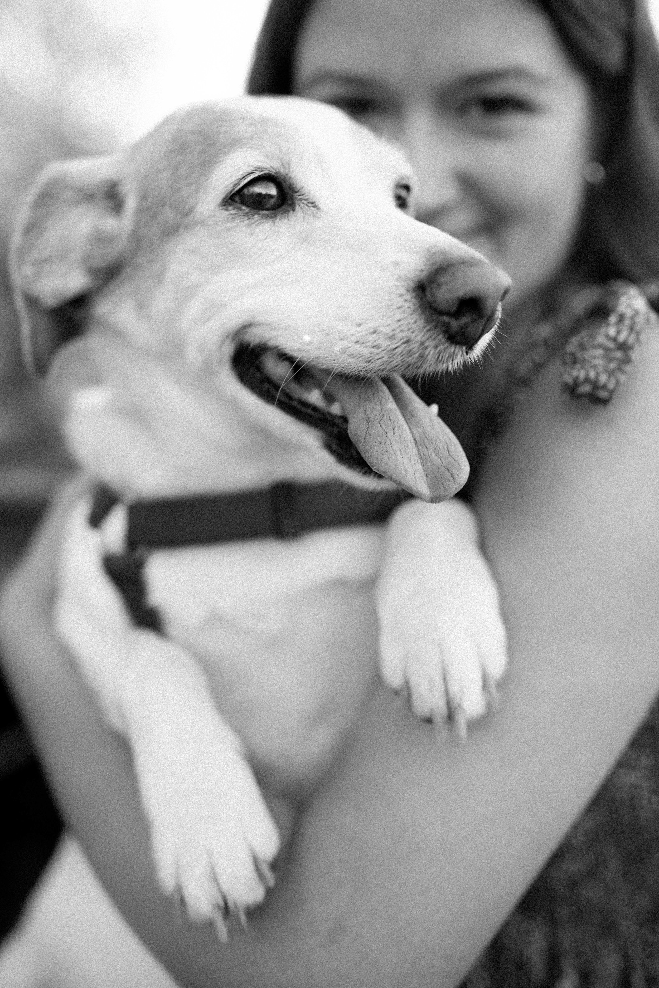 Gracie_Graduation-26.jpg