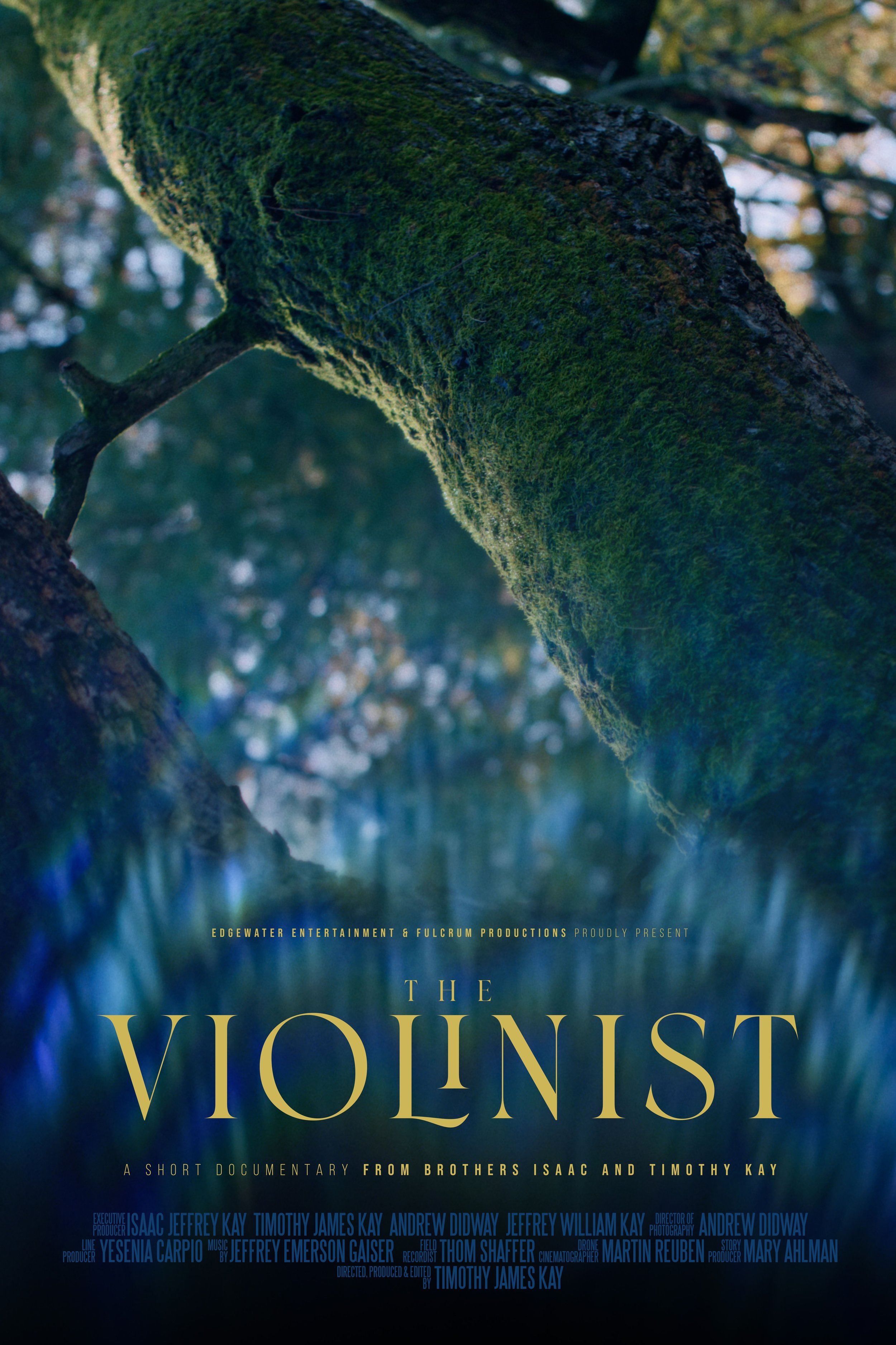 TheViolinist_Poster_03_Web.jpg