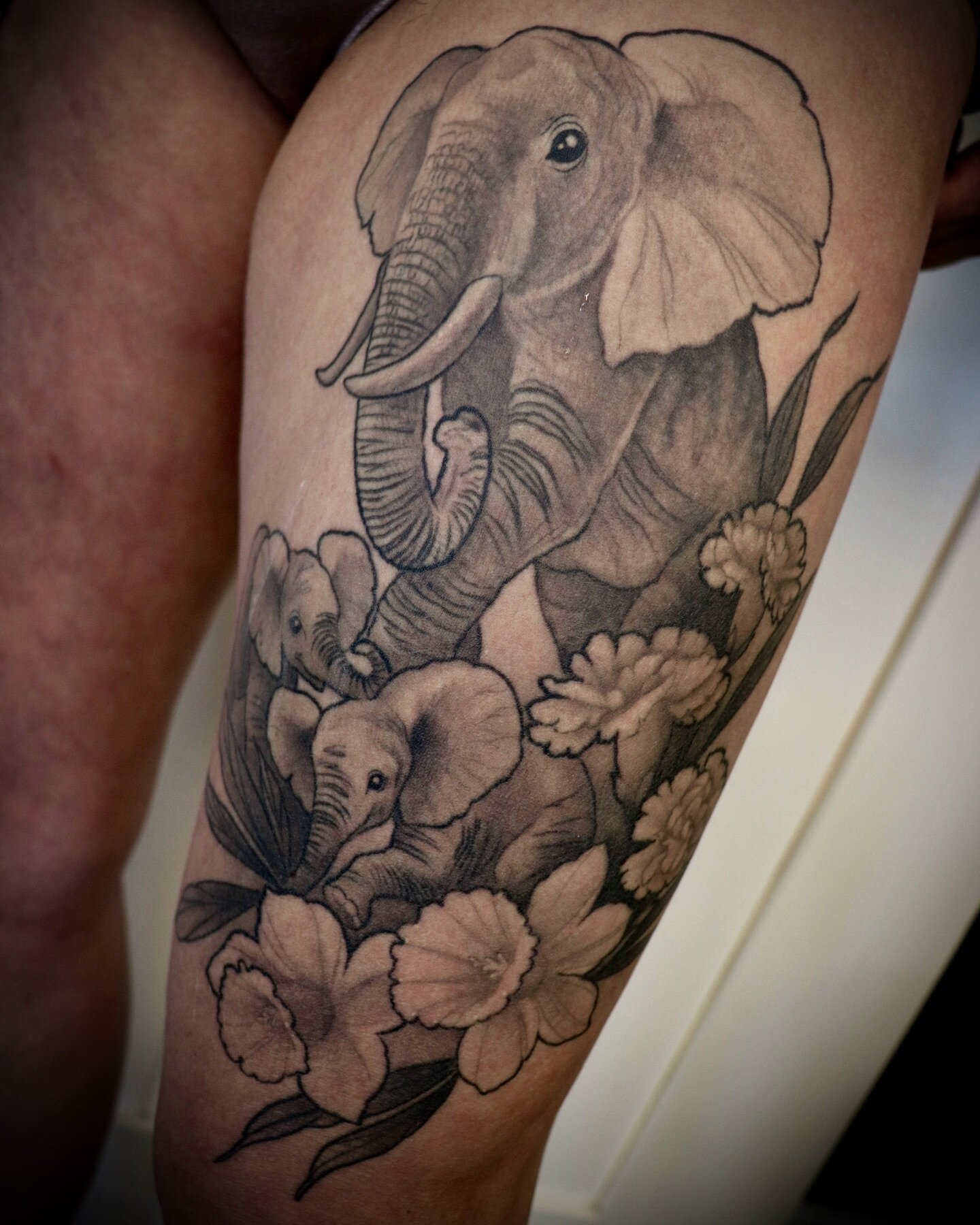 Healed Elephant fam 🐘 Would love to make some more animal tattoos and love working in black and grey. Submission form is in Link in bio or my website ❣️ Www.lexiraetattoo.com. 
@yyc.tattoos 
.
.

#calgarytattoos #calgarytattooartist #calgarytattoo #