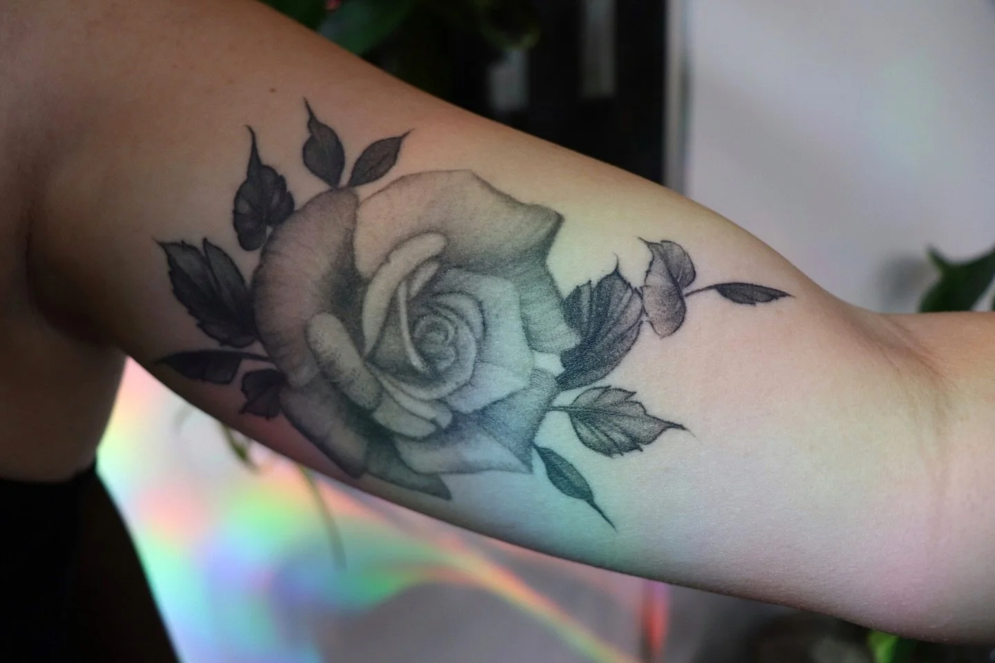 Healed Rose Tattoo ❤️🧡💛💚💙💜 
 
Www.lexiraetattoo.com 
 
#calgarytattoos #calgarytattooartist #yyc #yycsmallbusiness #blackandgreytattoogallery