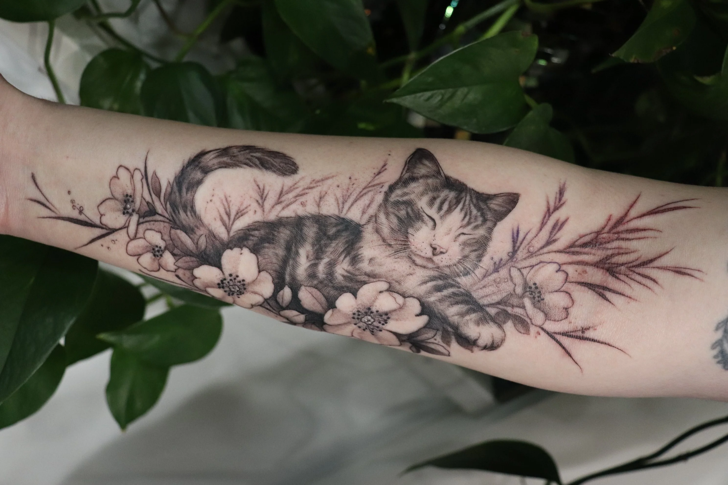 Lexiraetattoo.blackandgrey.tattoocalgary3.png (Copy) (Copy)