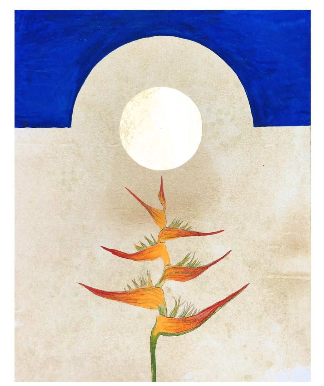 Drawing from Observation