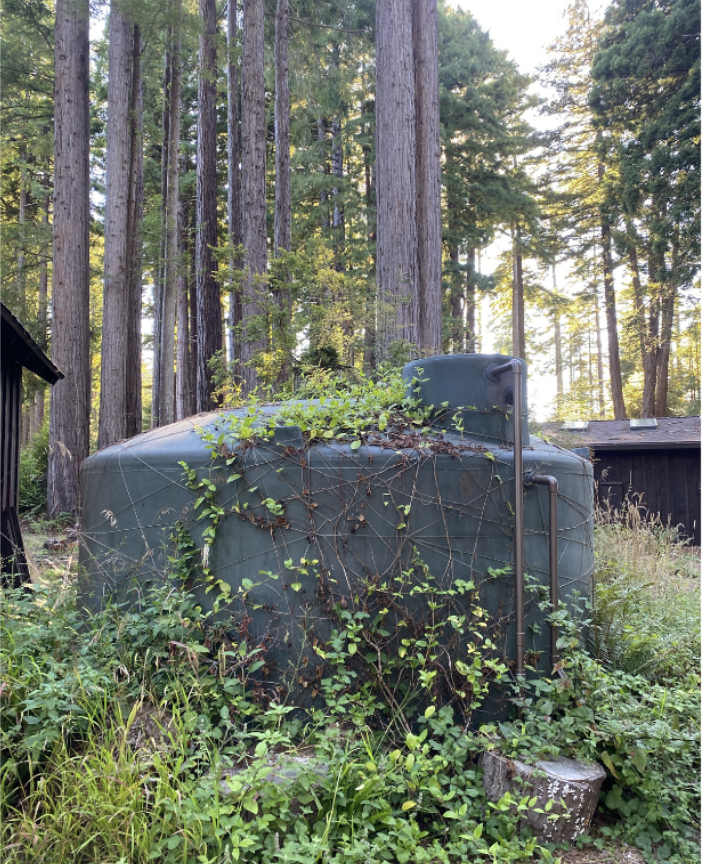 Rainwater Harvesting Community Workshop
