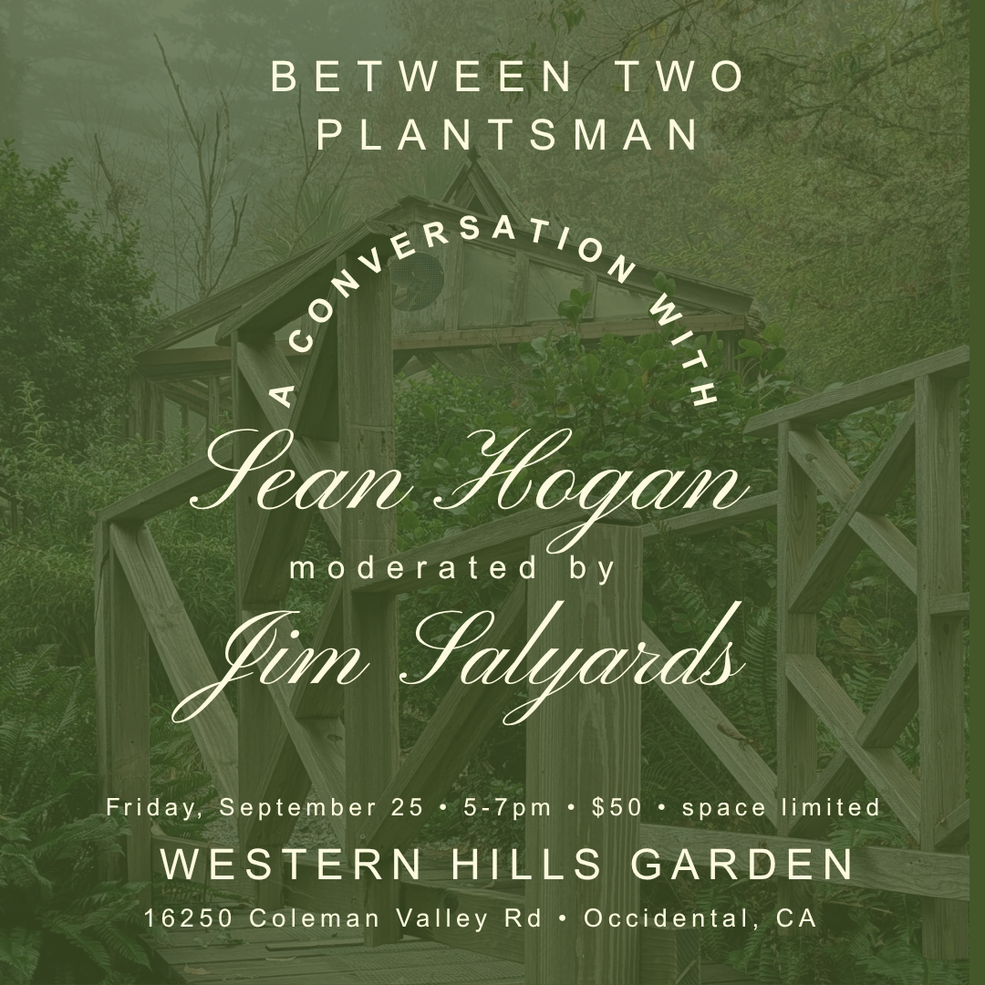 Between Two Plantsmen: Sean Hogan in Conversation with Jim Salyards