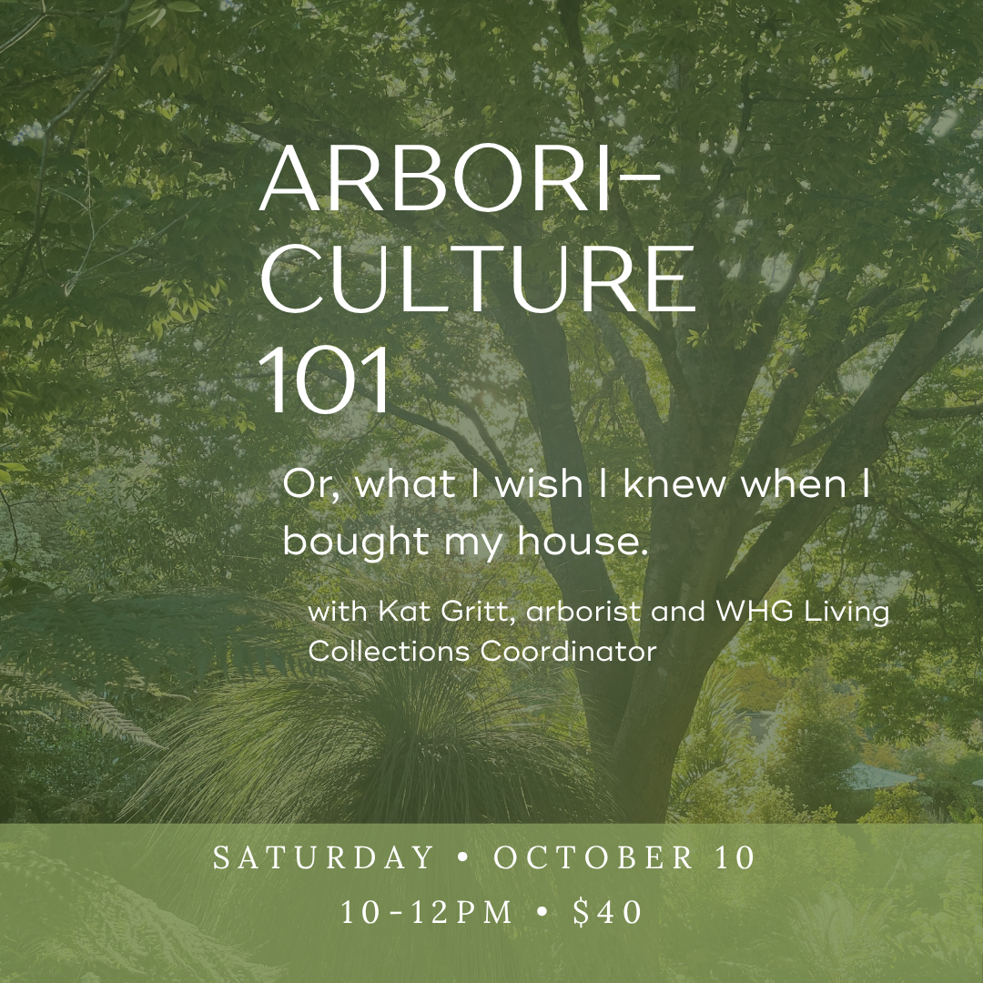 Arboriculture 101 for Homeowners
